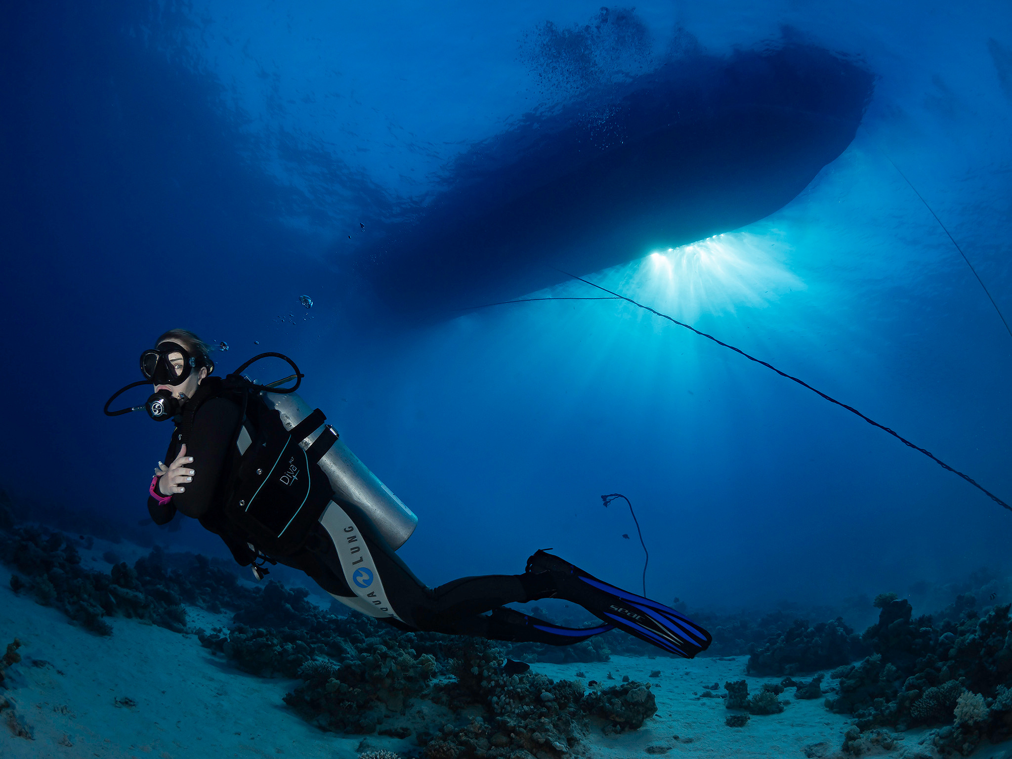 Underwater Photo Shoot. Your photographer on land and under water— Alexey Zaytsev