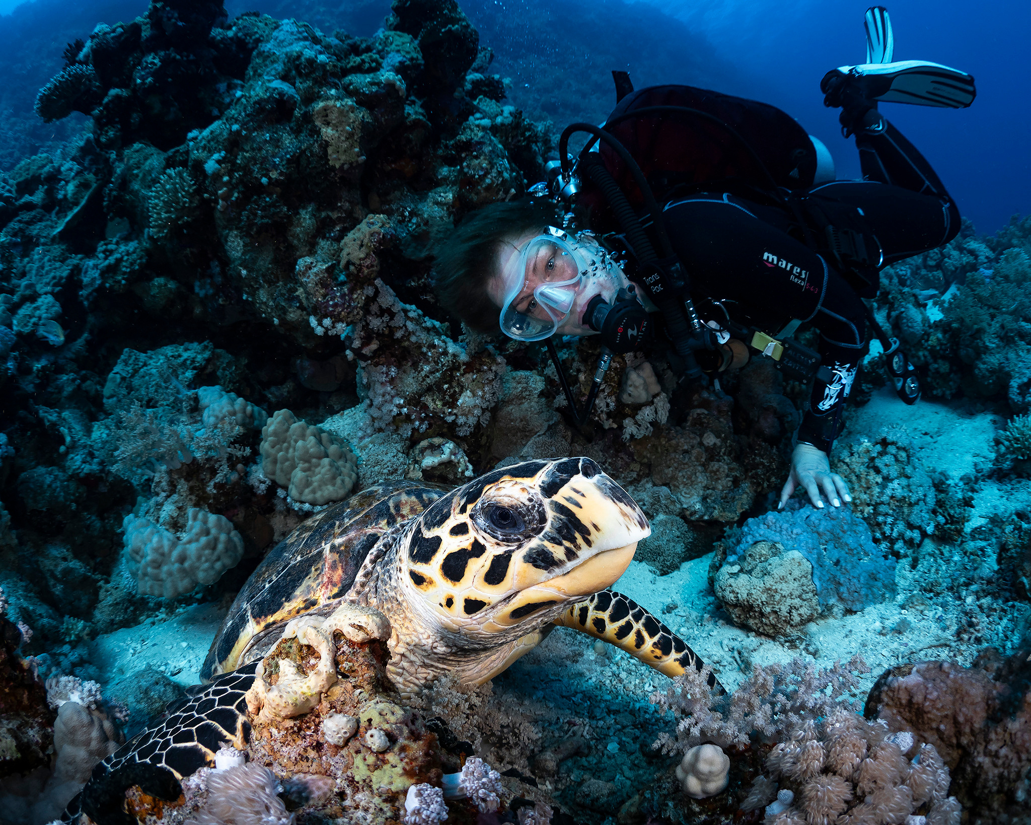 Underwater Photo Shoot. Your photographer on land and under water— Alexey Zaytsev