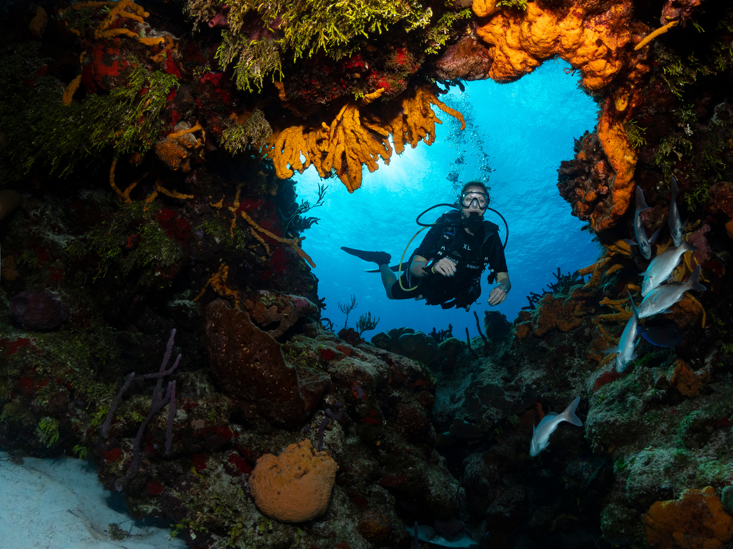 Underwater Photo Shoot. Your photographer on land and under water— Alexey Zaytsev