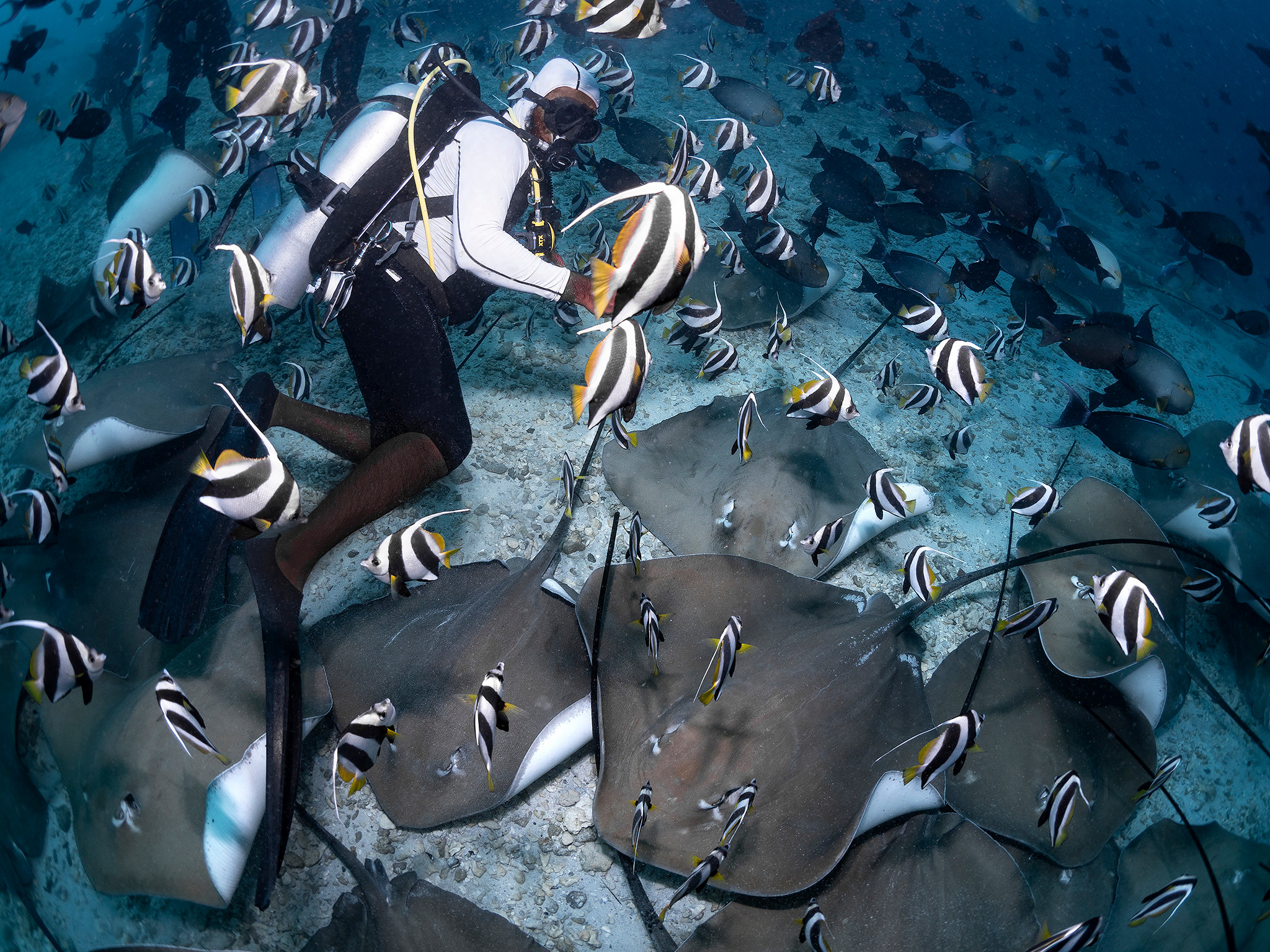 Underwater Photo Shoot. Your photographer on land and under water— Alexey Zaytsev