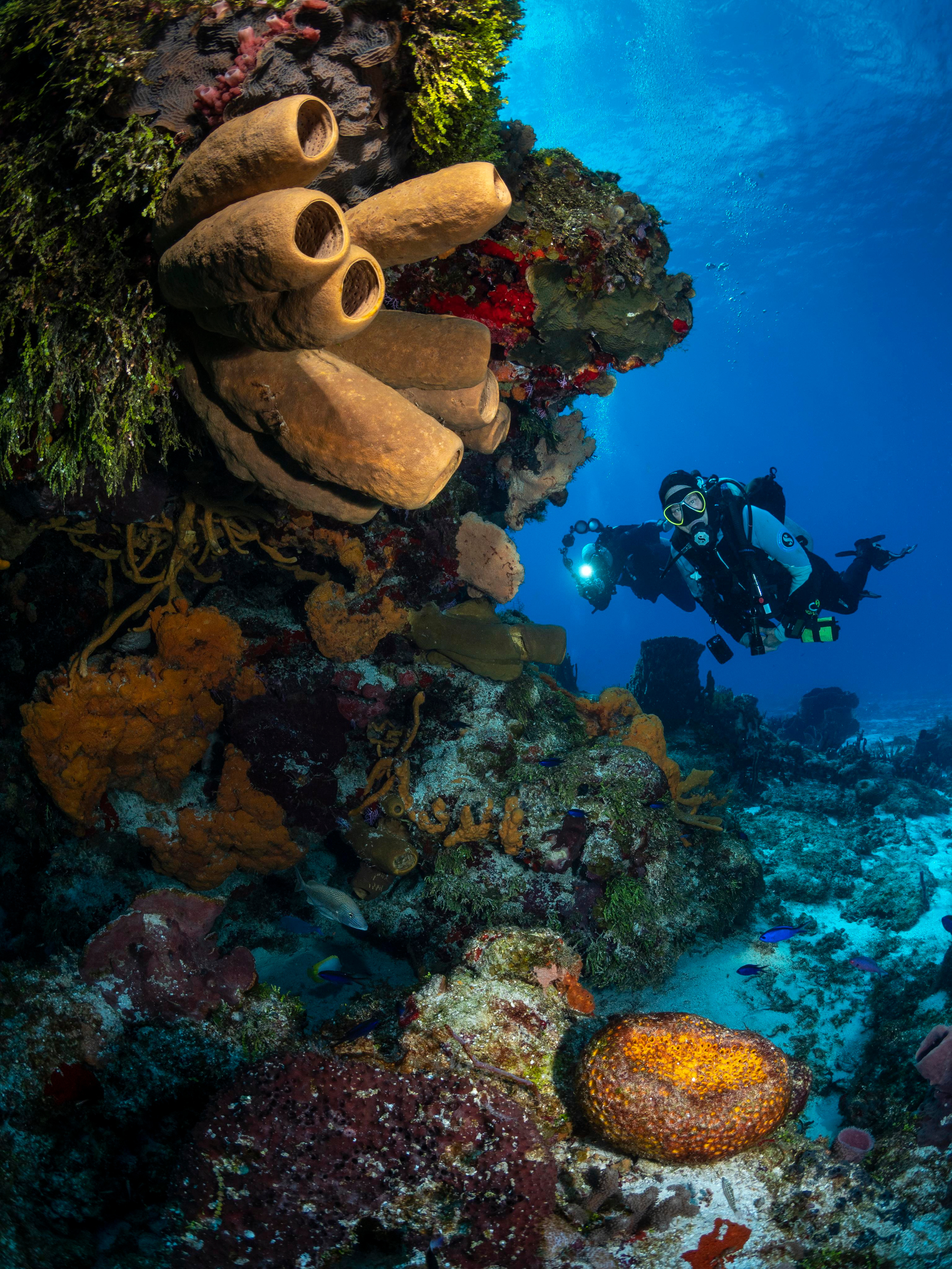 Underwater Photo Shoot. Your photographer on land and under water— Alexey Zaytsev