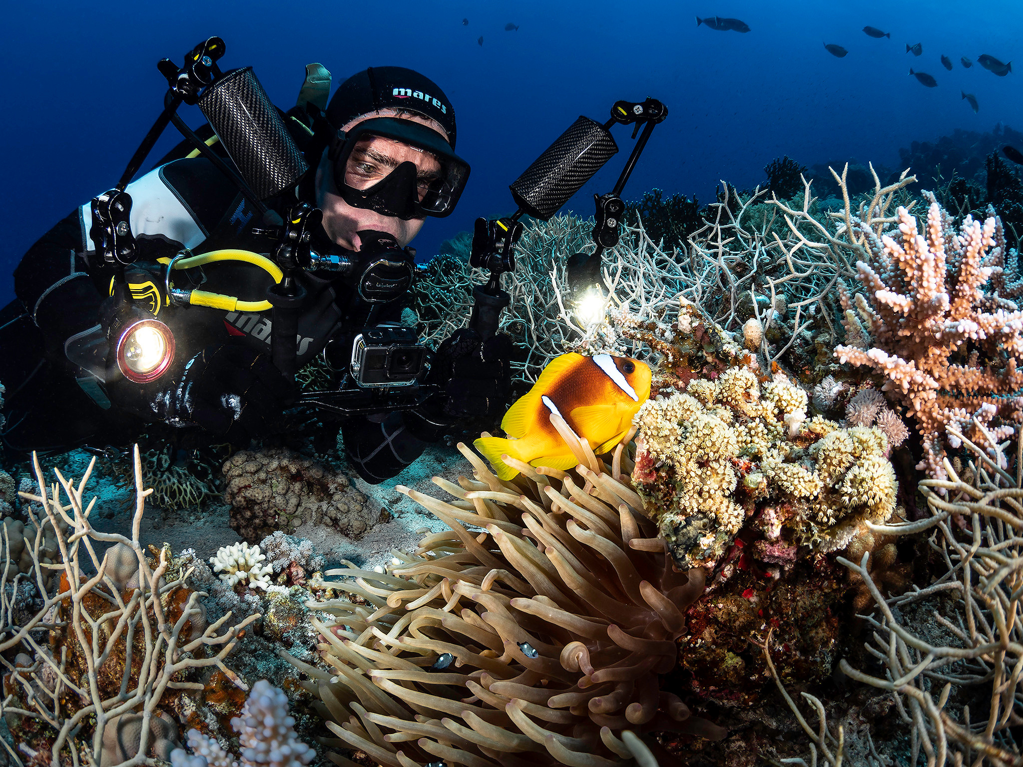 Underwater Photo Shoot. Your photographer on land and under water— Alexey Zaytsev