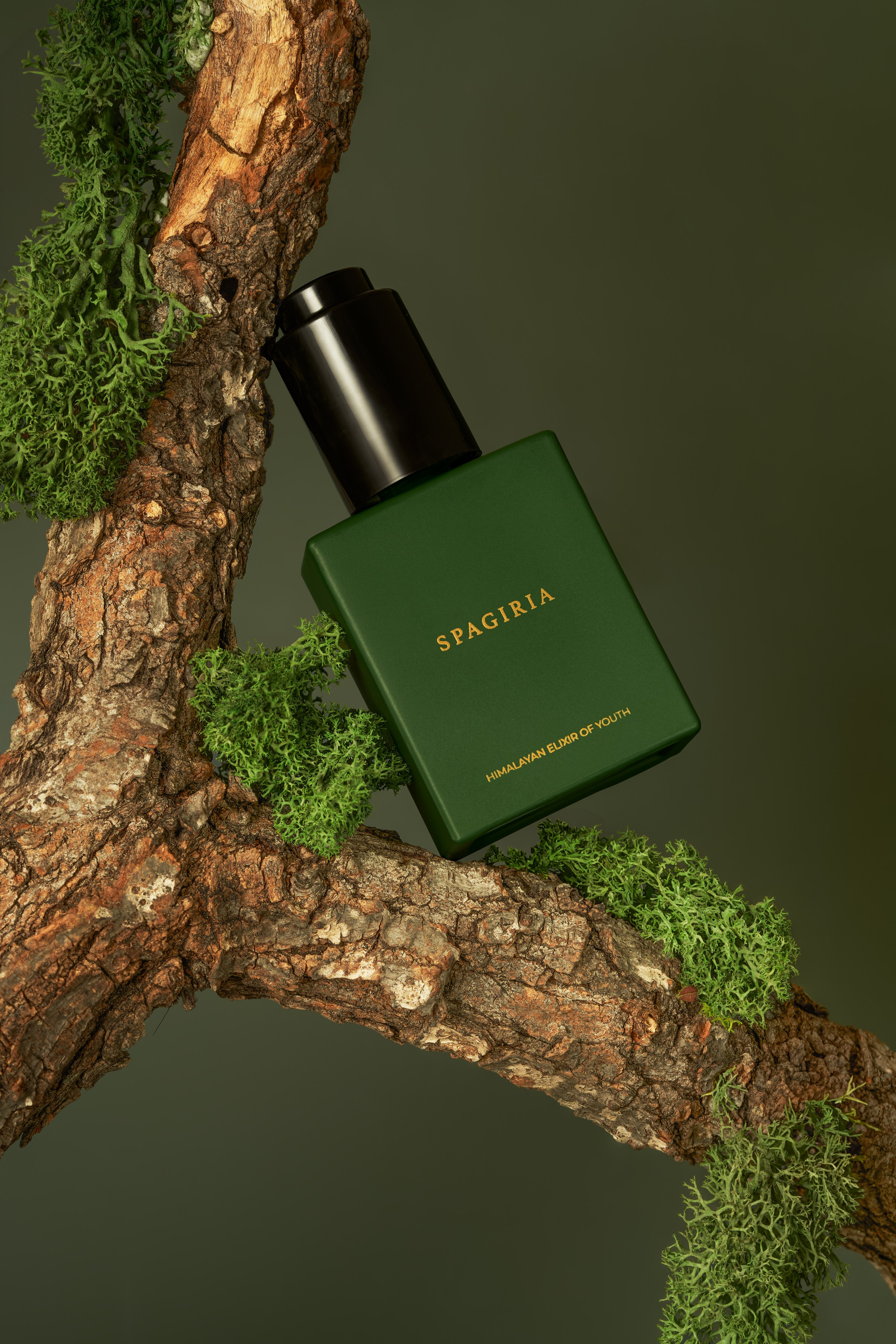 Edición de fotos de productos cosméticos