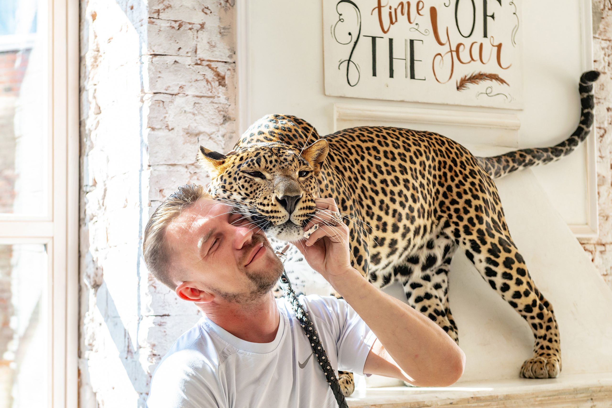 Photosession in the studio with a leopard. FOTÓGRAFO MÉXICO QUINTANA ROO