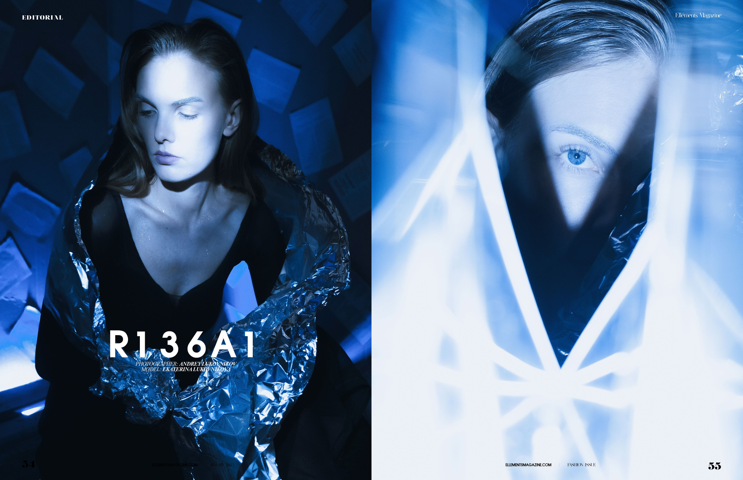 The best publications of the project R136a1