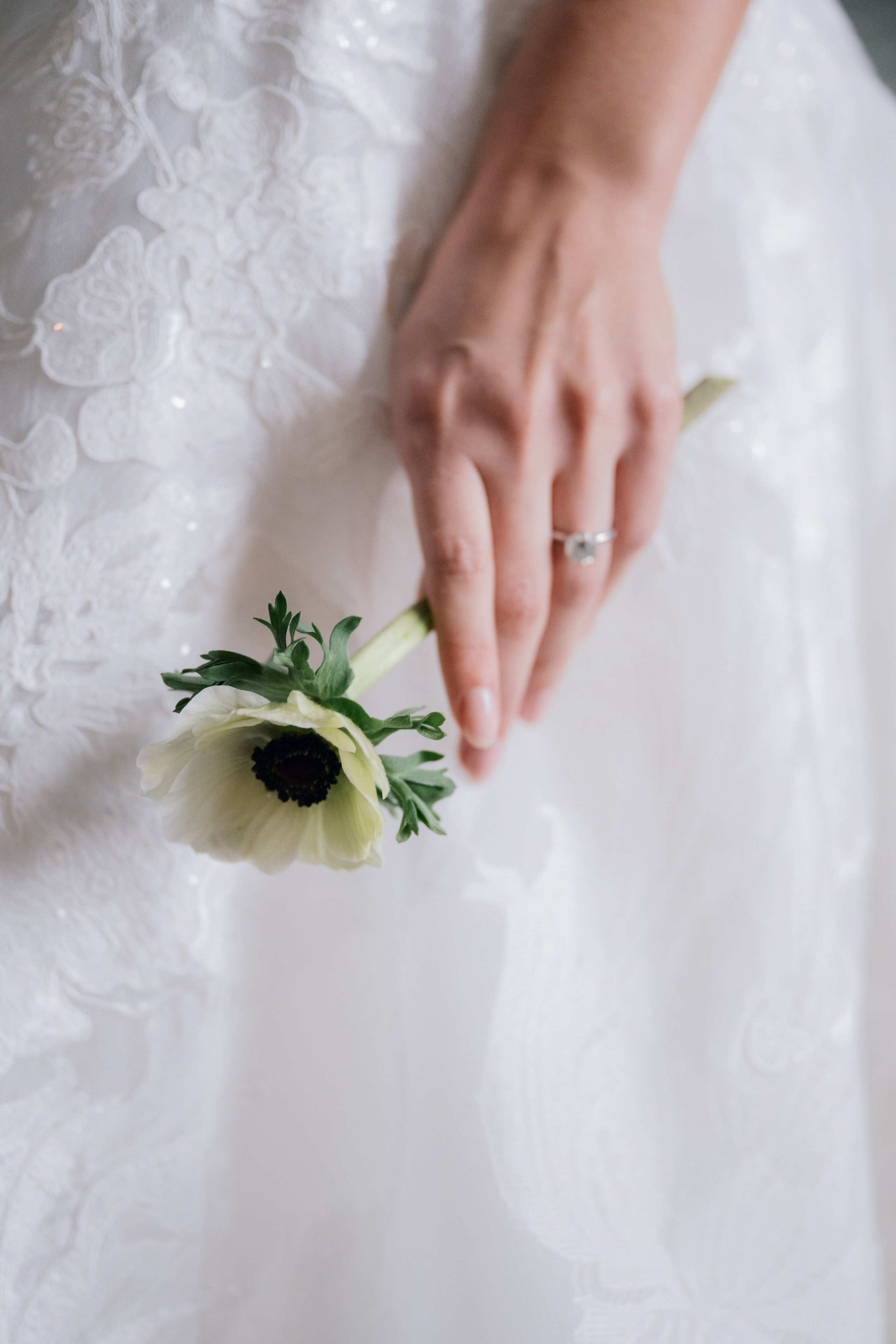 a person holding a flower in their hand