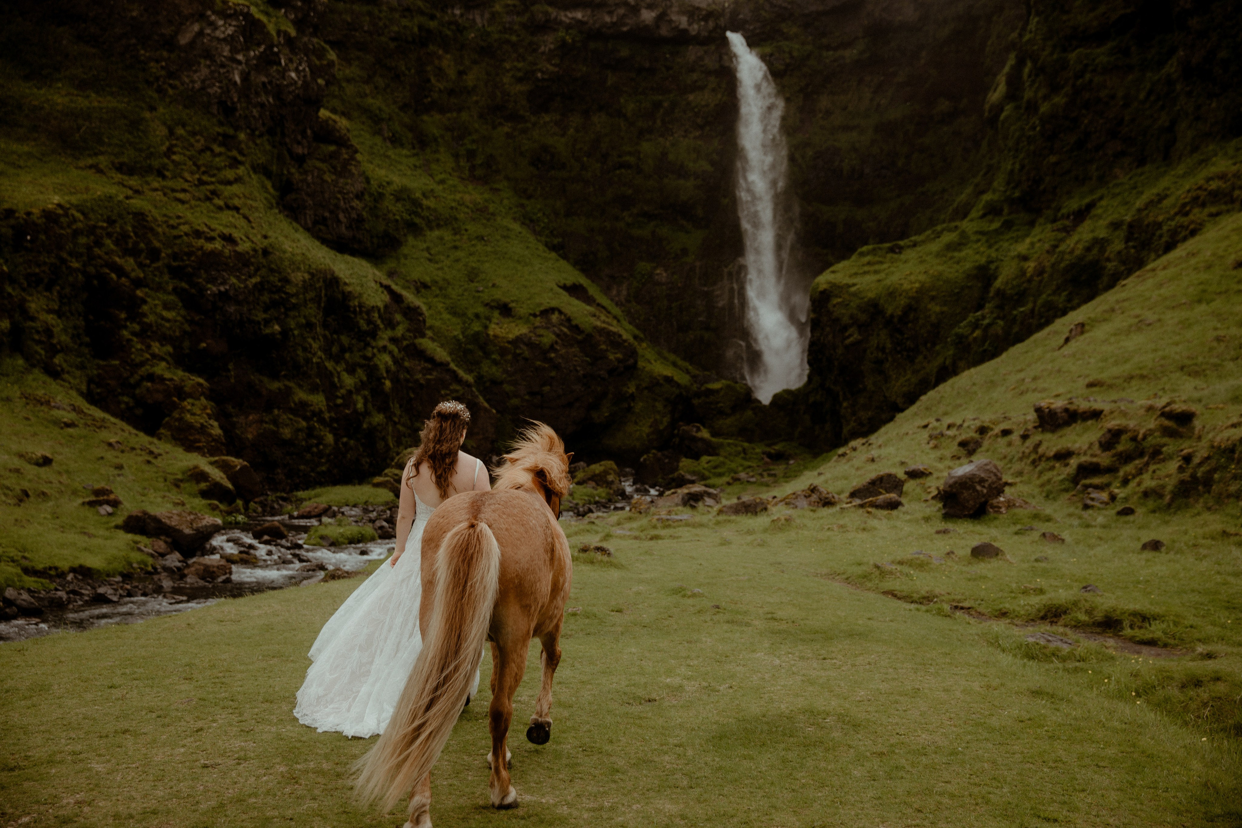 Iceland Elopement at Black Sand Beach. Iceland elopement photographer & videographer