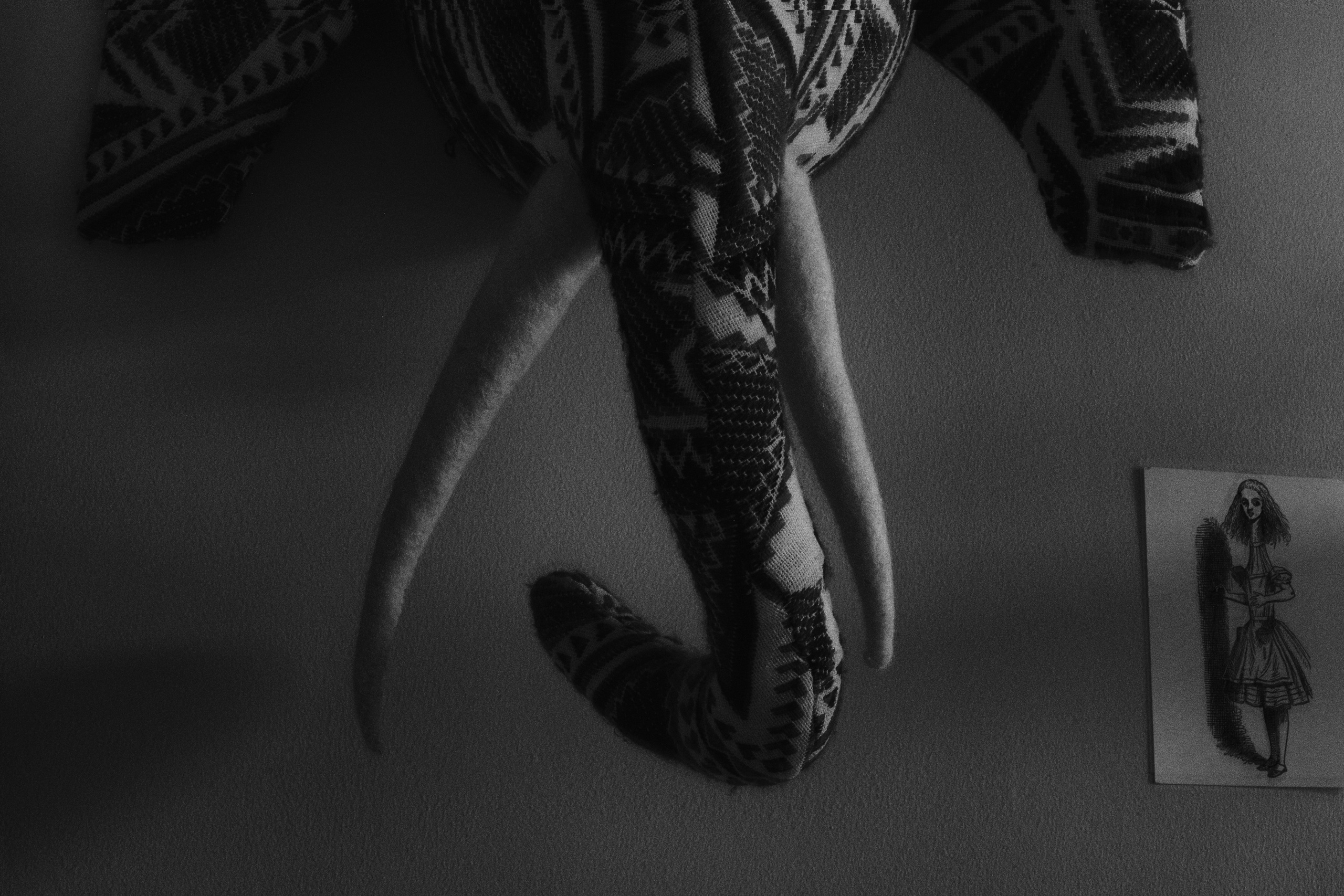 Волчок. Sveta Kaverina