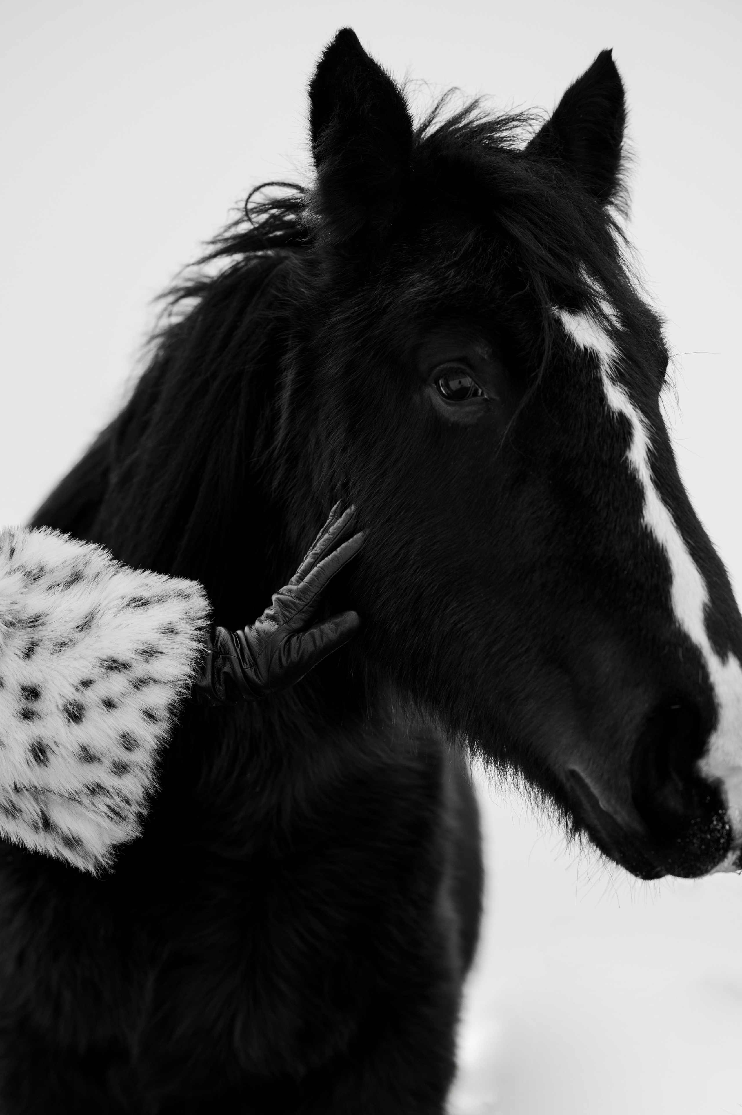 Семья/пара. Фотограф Таллинн — свадьба |семья | lovestory