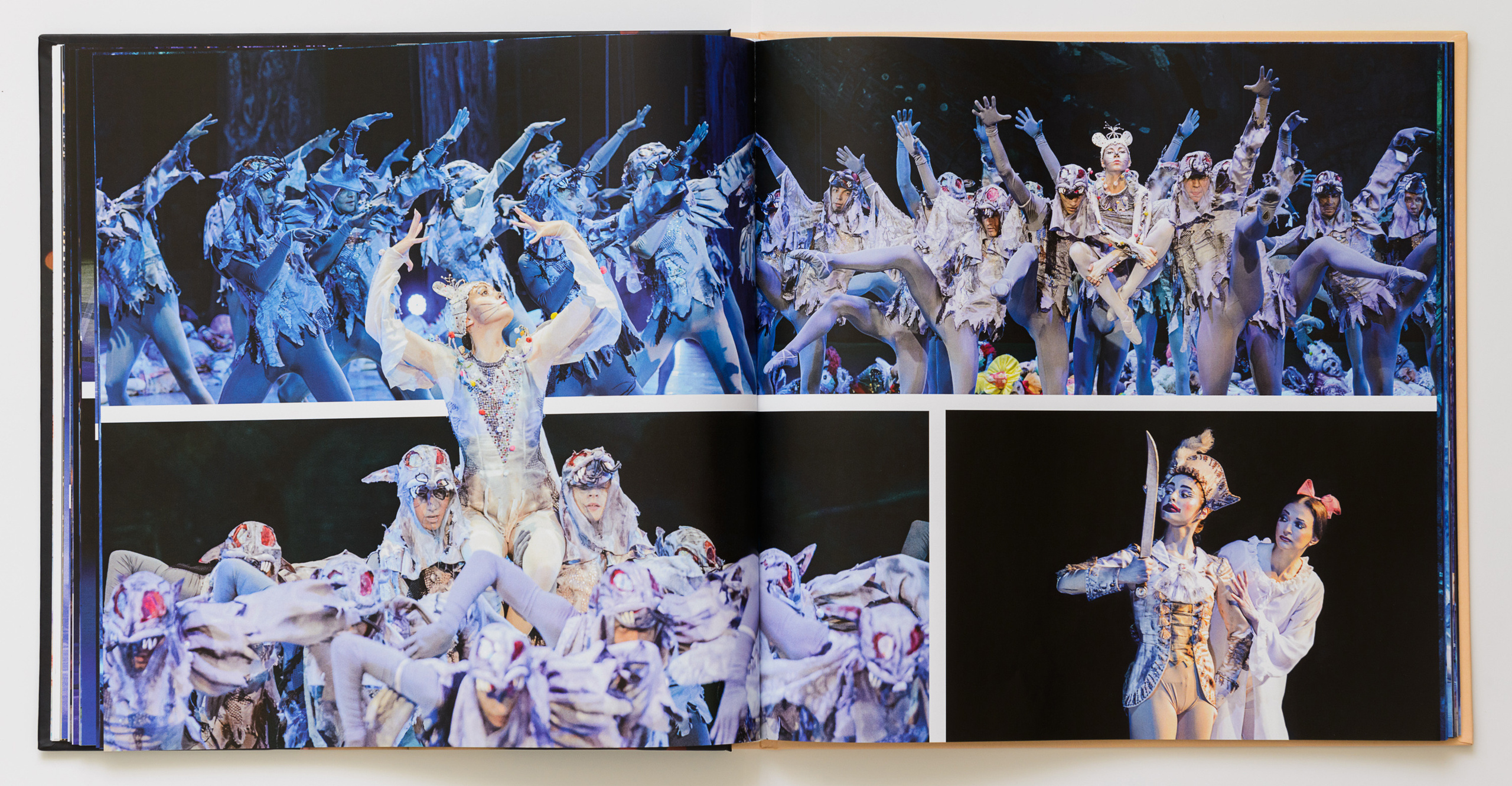 Ballet. Photo albums Moments of Valentin Elizariev