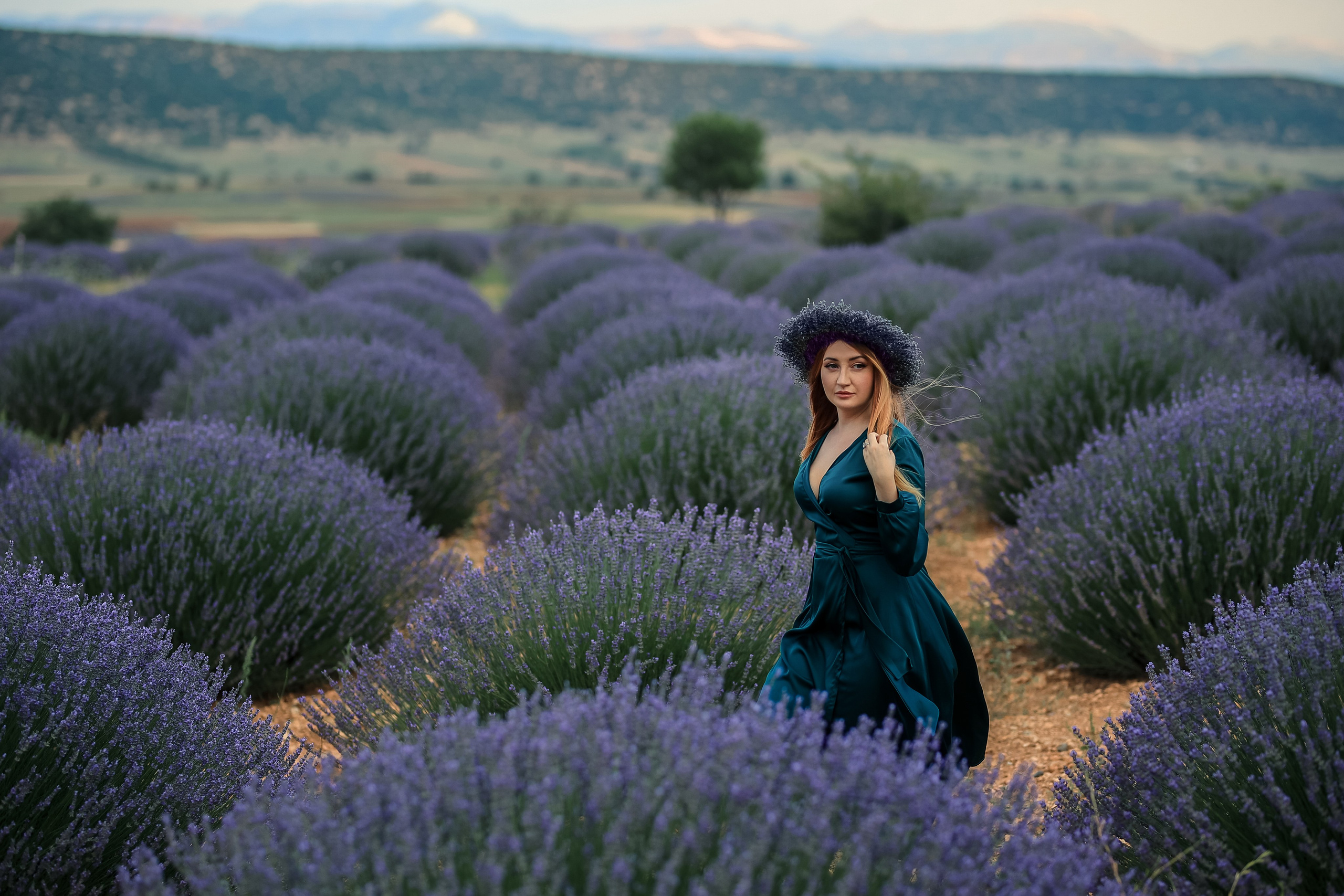Lavender fields in Turkey. Photographer in Turkey, Antalya, Kemer, Belek, Side, Kas, Fethiye