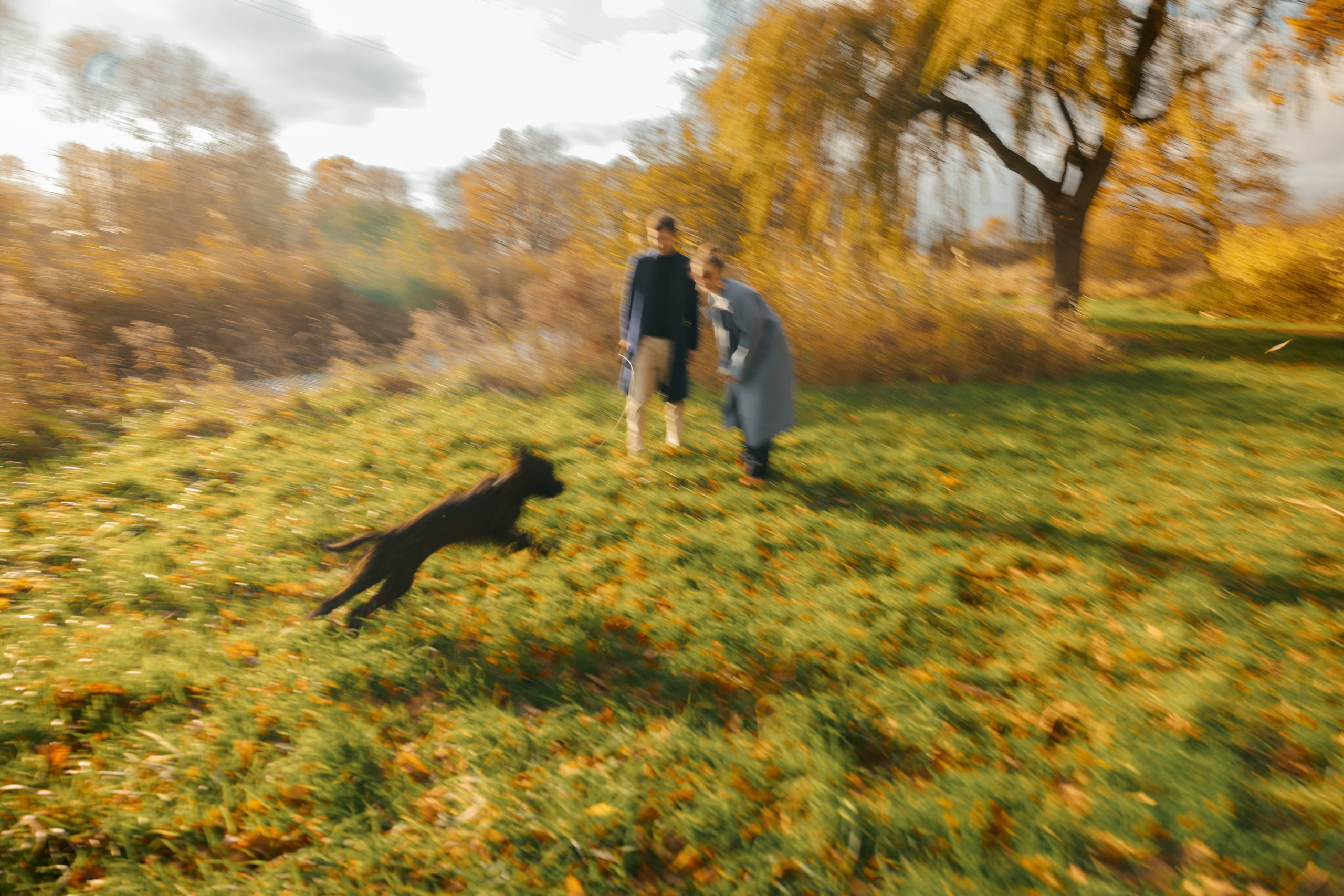 Dog & Cat Photographer Rotterdam | Natalia Olhova. Romantic & Soulful Photography by Natalia Olhova in Rotterdam