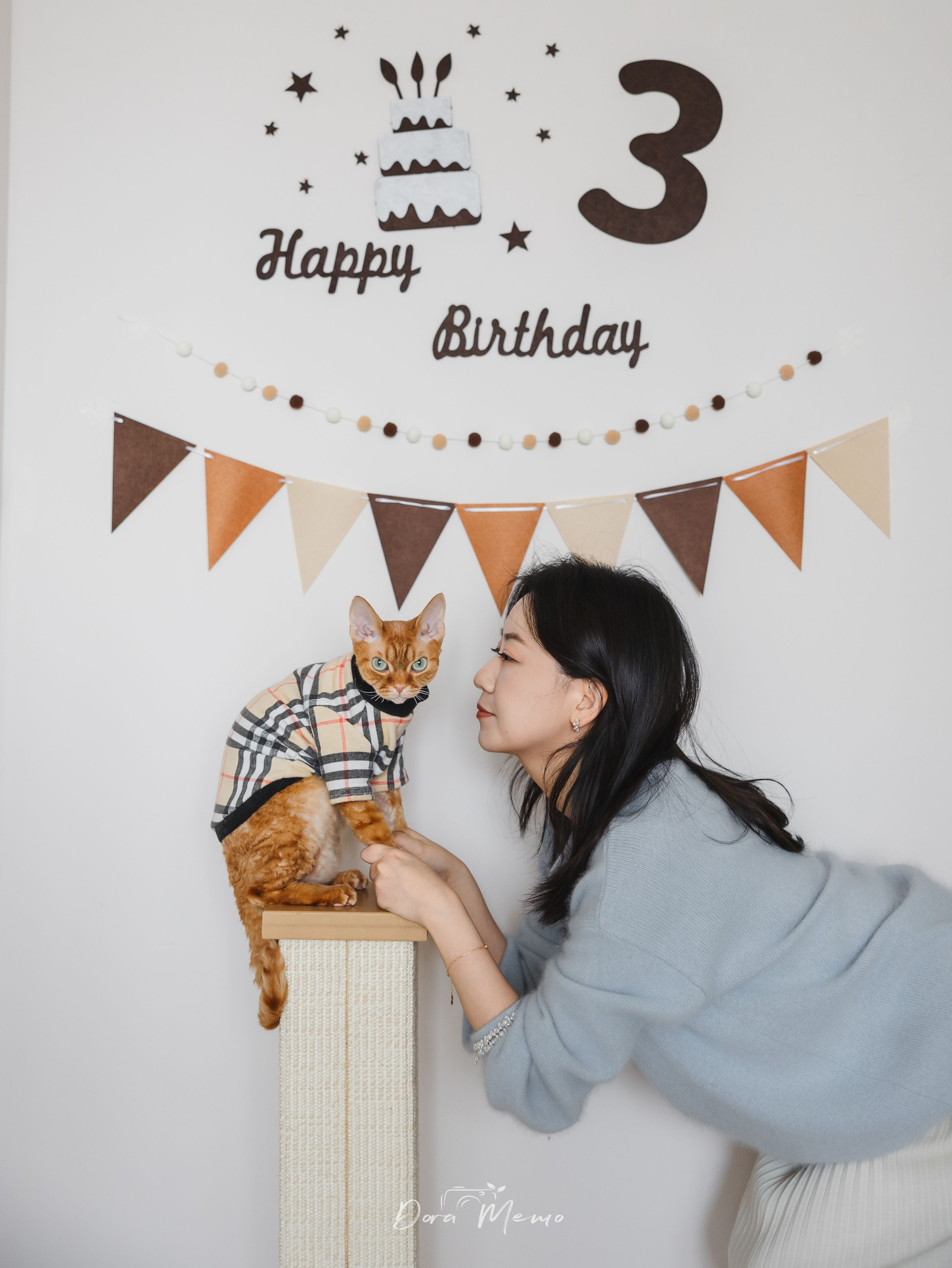 Devon Rex Cat Birthday Photoshoot | Shanghai Pet Photographer. Shanghai Family Photographer Dora