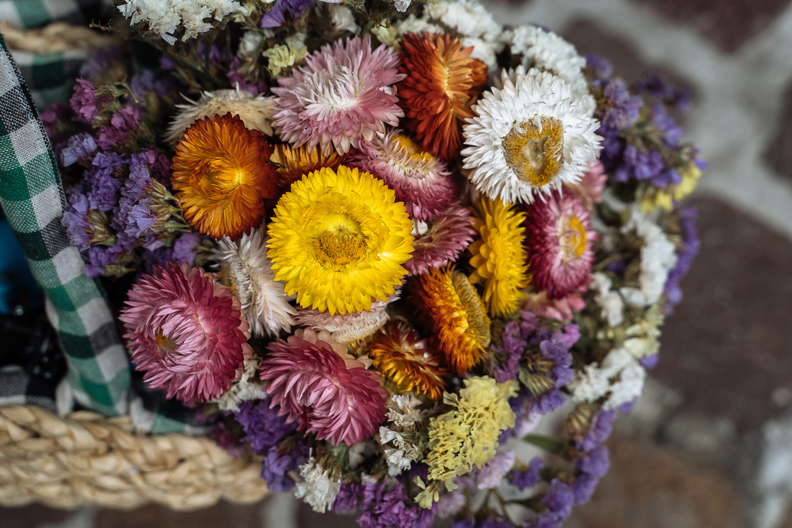 Eine wunderschöne Familie in einer der wunderschönsten Stadt der Welt. Hochzeitsfotograf für Moers, Niederrhein, Düsseldorf, NRW und Deutschland