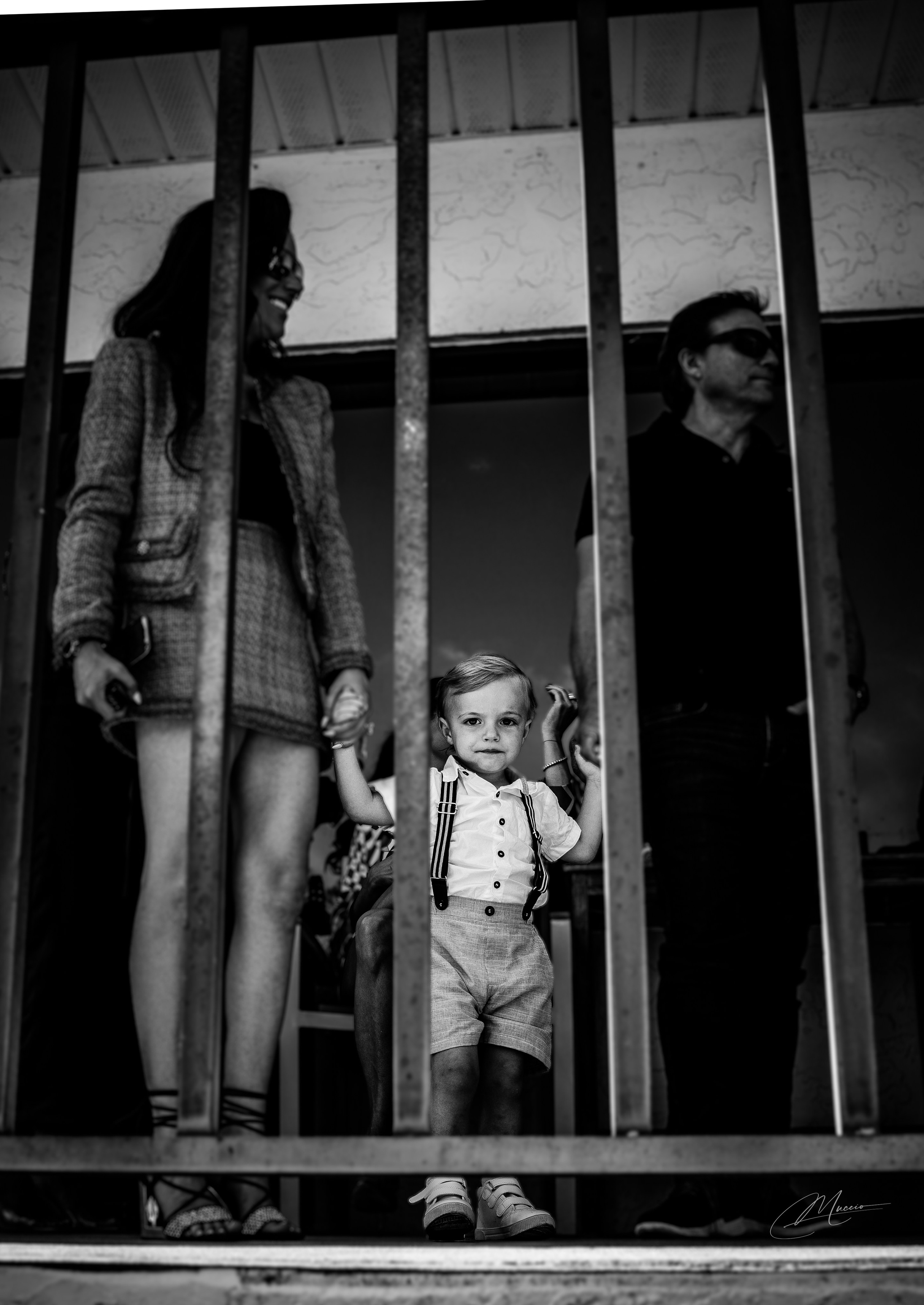 Home. Out and About 239