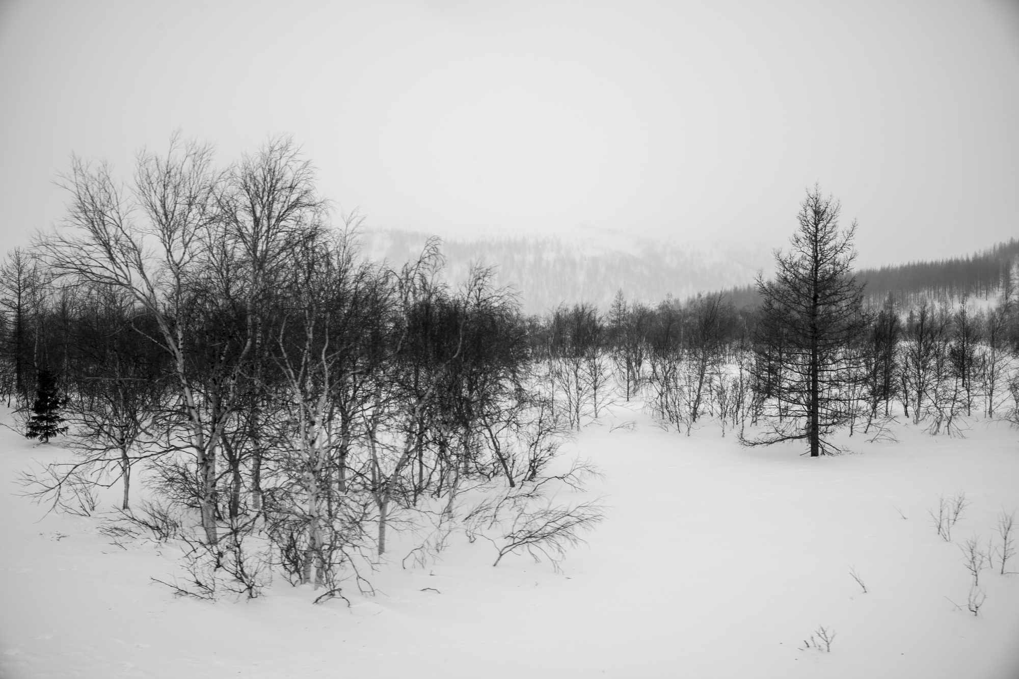 ЖД. Grigoriy Yaroshenko photography | Фотограф Григорий Ярошенко