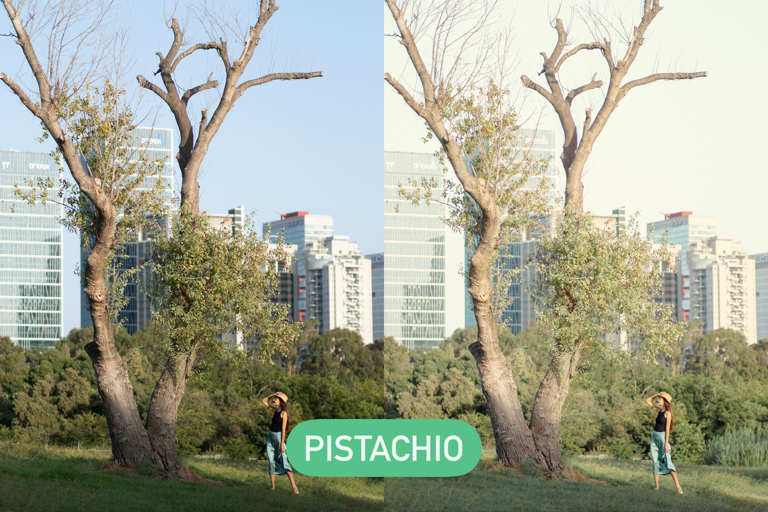 Presets. Photo and video shoots, photo tours in Portugal — WePortugal