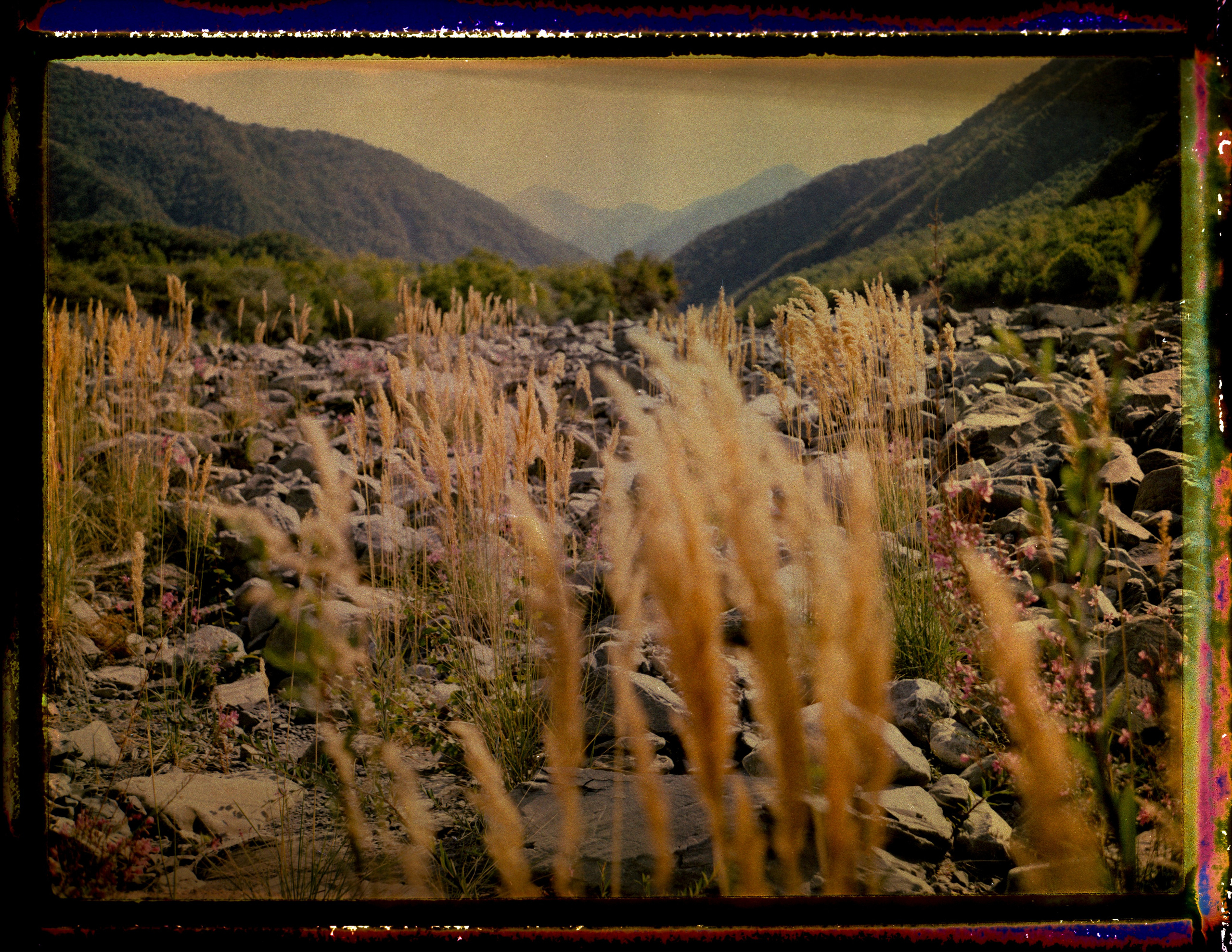 POLAROID. Www.sananaleskerov.com