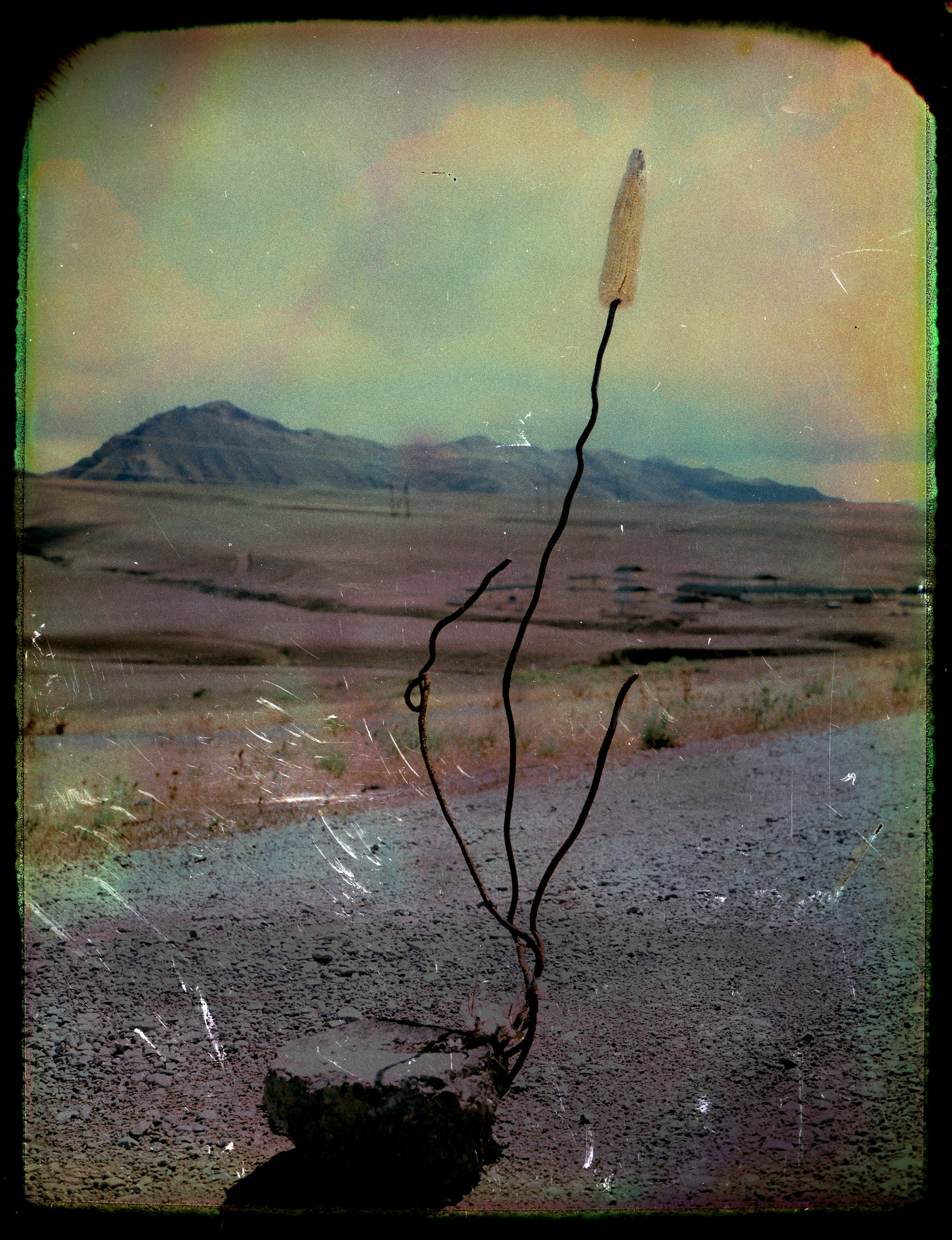 POLAROID. Www.sananaleskerov.com