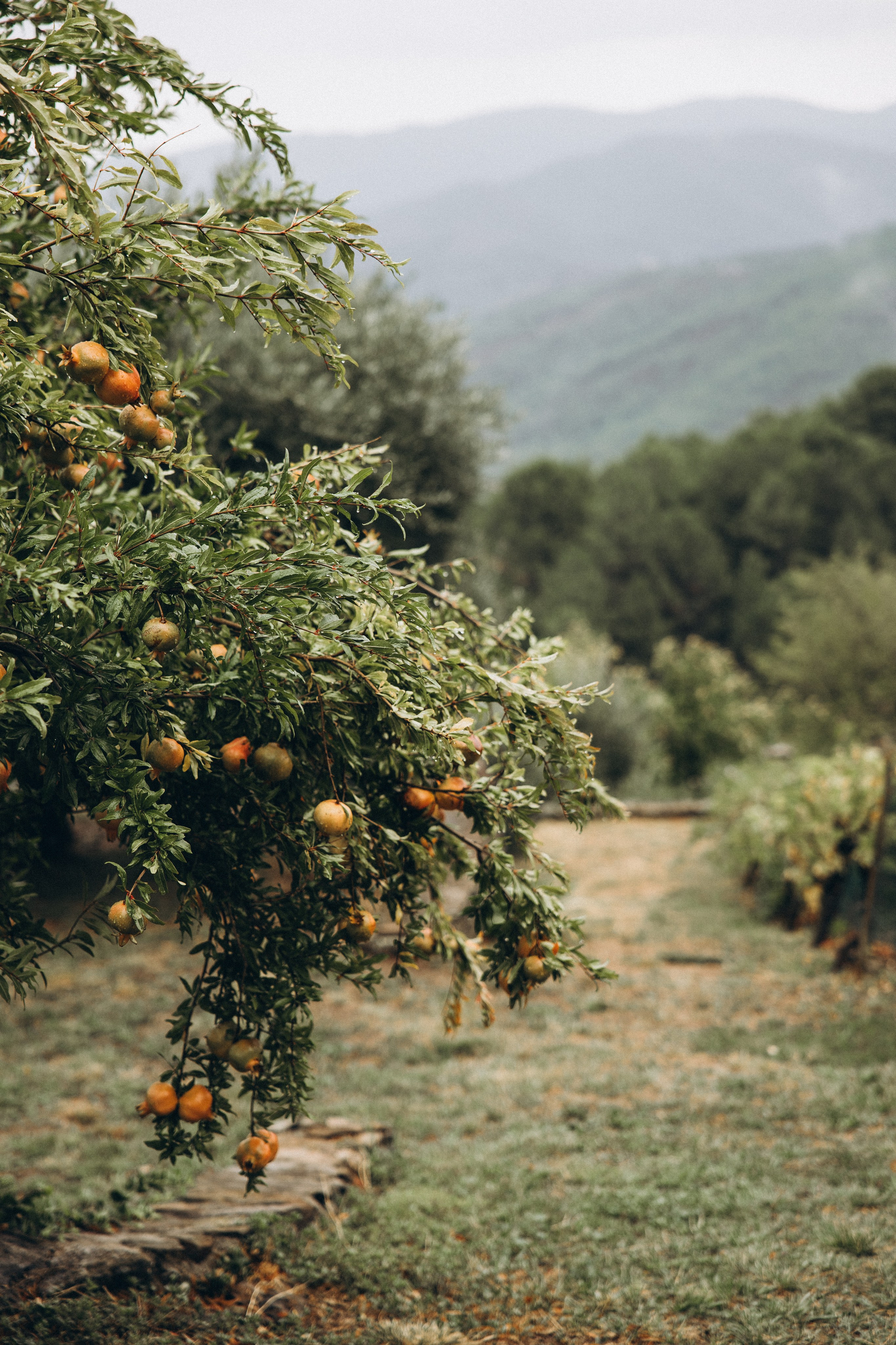 Chloé & Tom. Eugénie Smirnova — photographe à Toulouse et dans le sud-ouest de la France