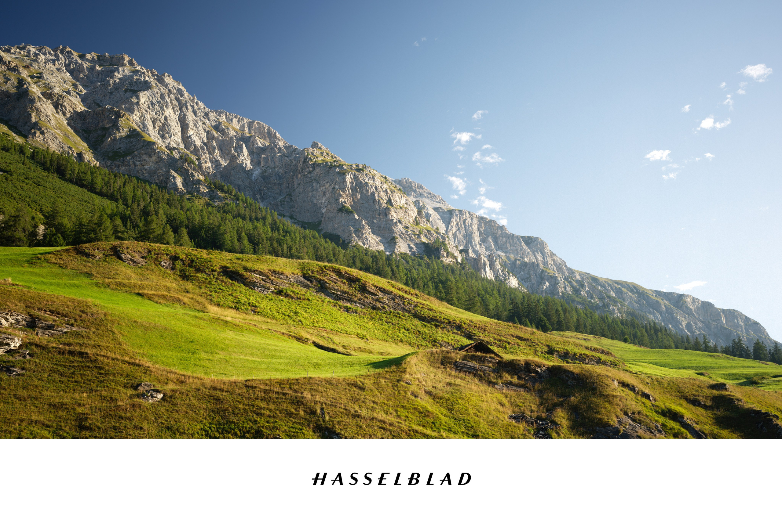 Hasselblad XCD 4/45P. Фотограф | Ретушер Штуттгарт — Vitali Beidel