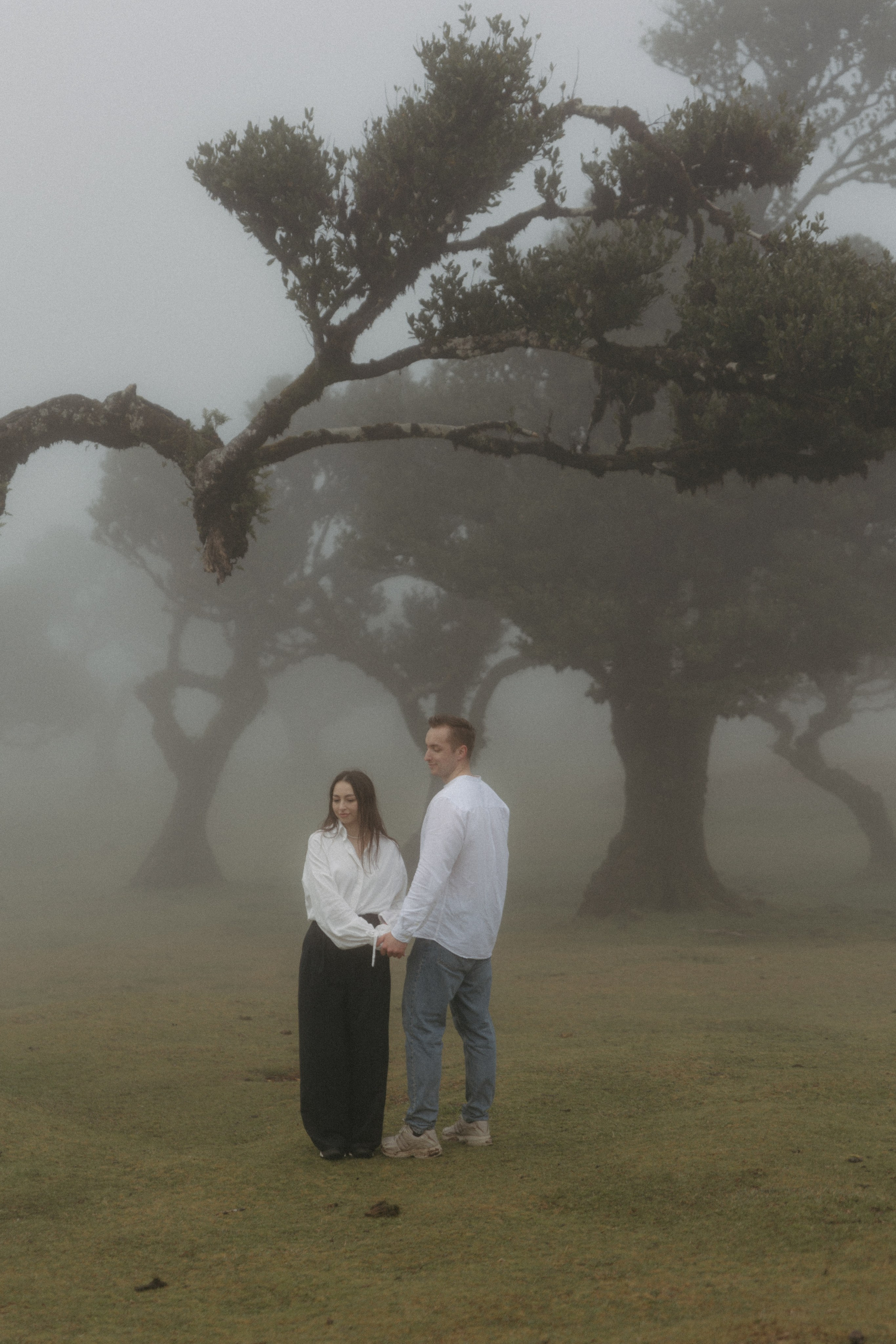 Magic of Fanal Forest. Wedding photographer and videographer based in Timisoara, Romania