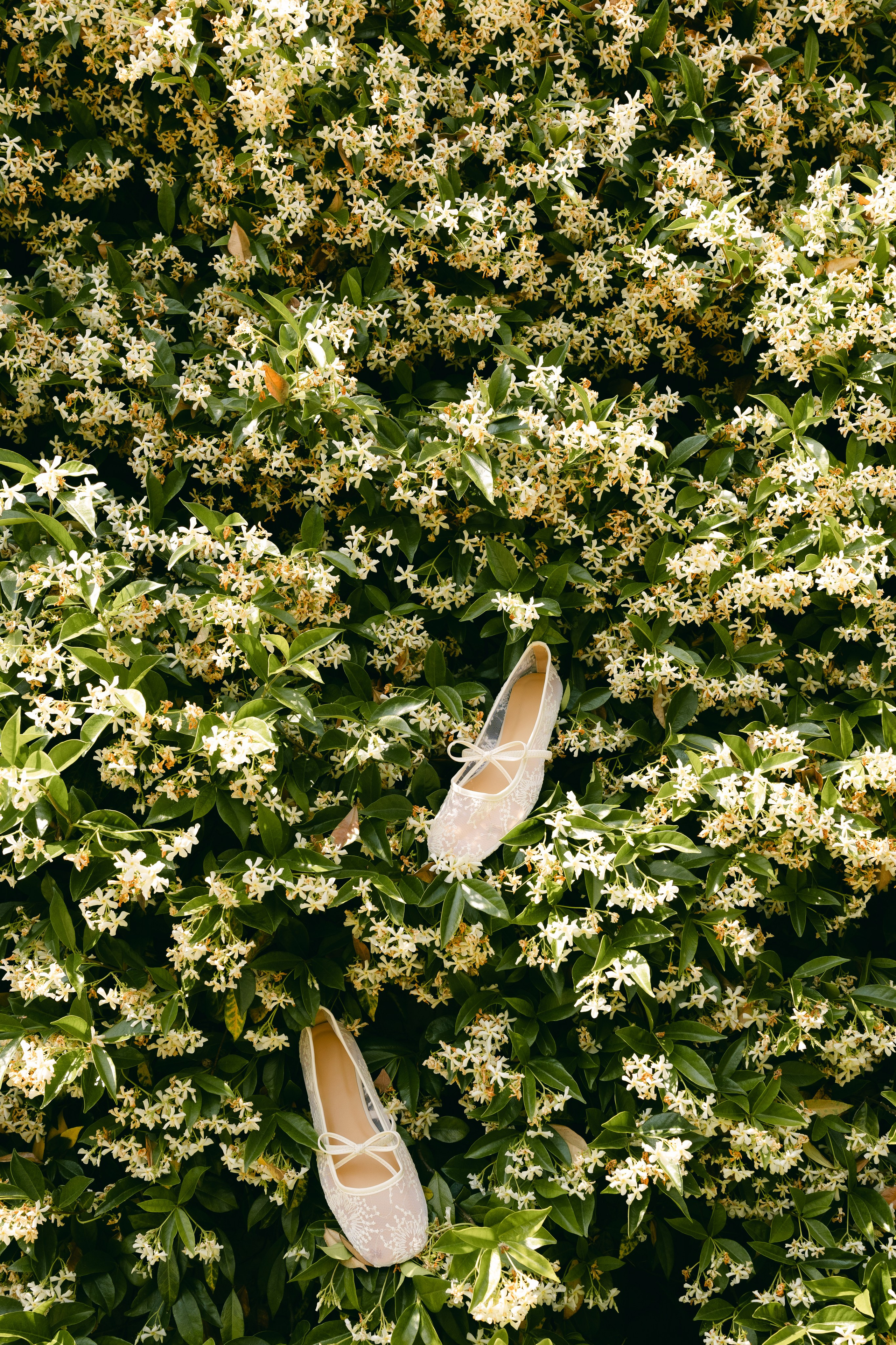 Wedding in Italy — Catello di Tassara