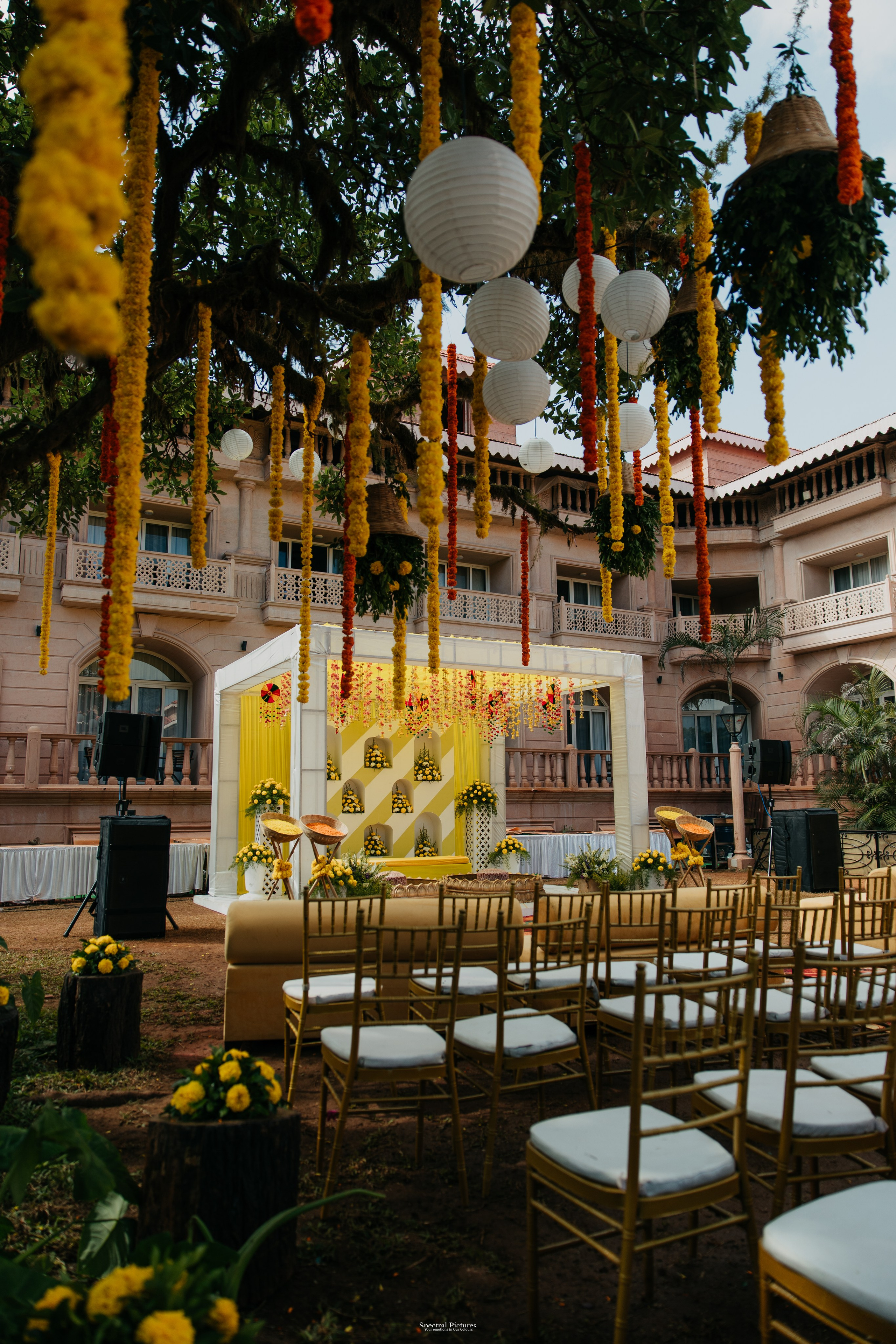 #THEPURALOVESTORY is a journey of two hearts growing in sync, across seasons, challenges, and memories