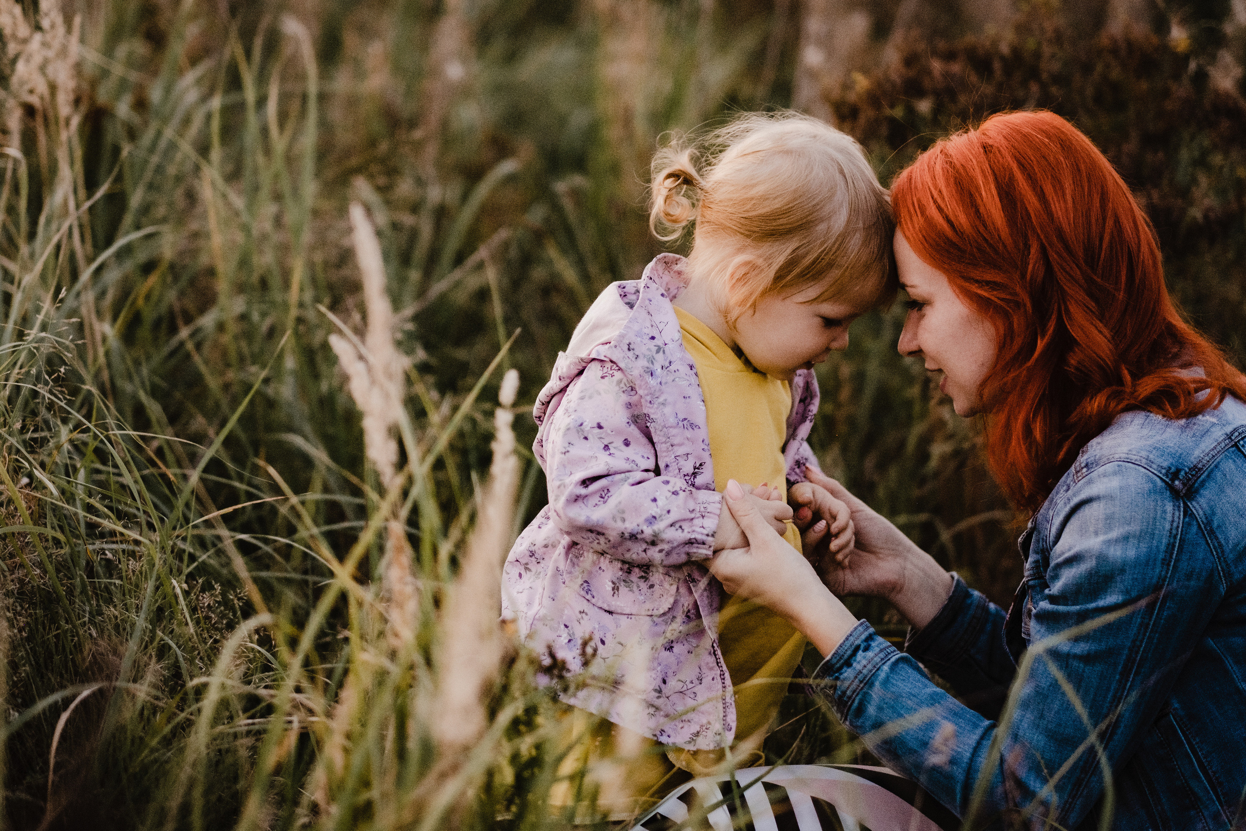 Skaista ģimenes fotosesija laukā, pļavā siltā vasaras vakrā Latvijas plāvās.