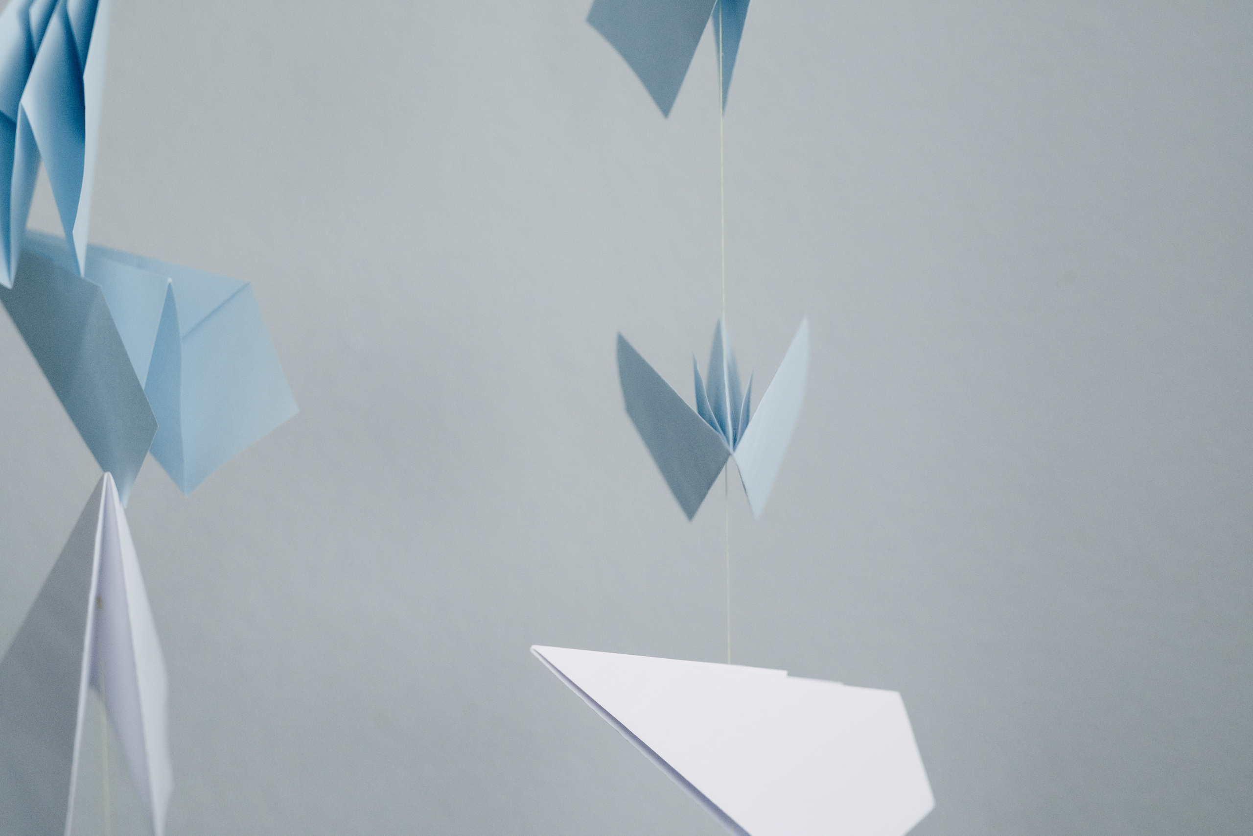 Evertam 1 gadiņš - Cake Smash. Kāzu × Ģimenes notikumu fotografs Edgars Kalniņš