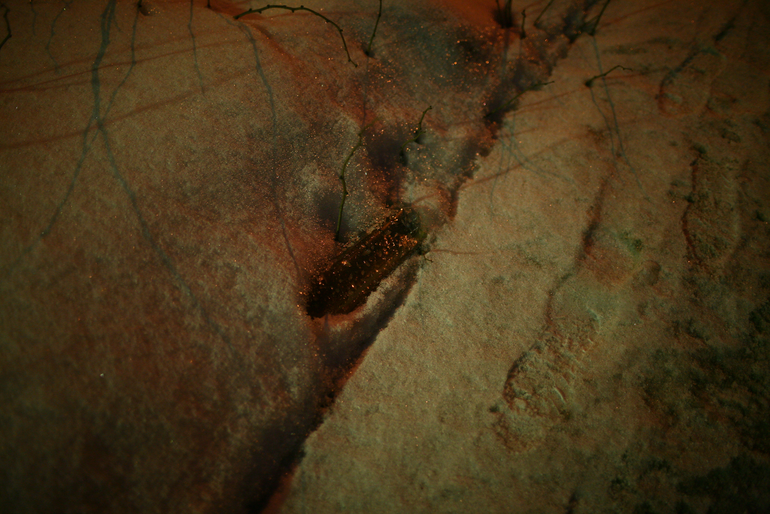 Five letters from Murmansk. Victoria Dini. Art photography in London / Folkestone, UK