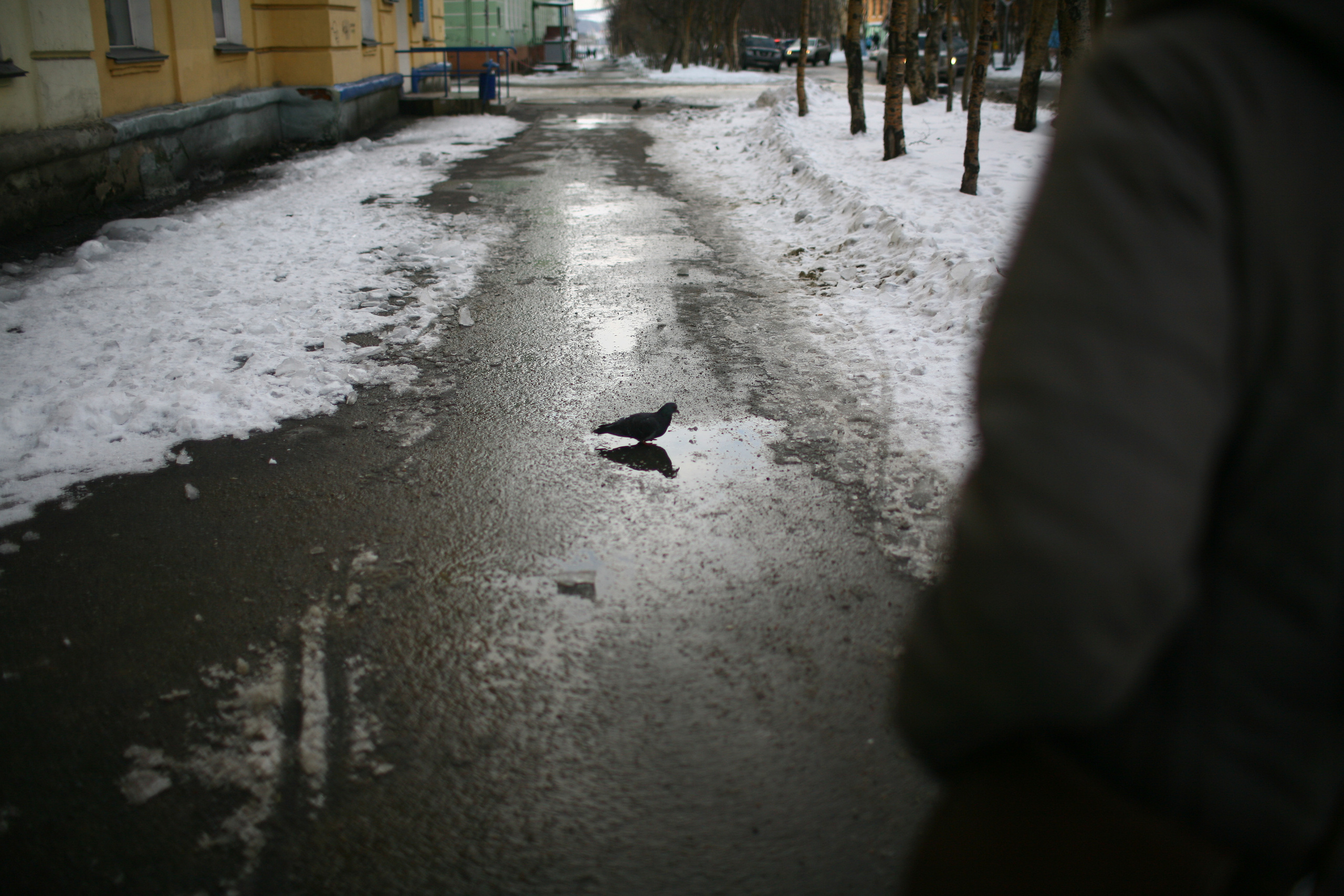 Five letters from Murmansk. Victoria Dini. Art photography in London / Folkestone, UK