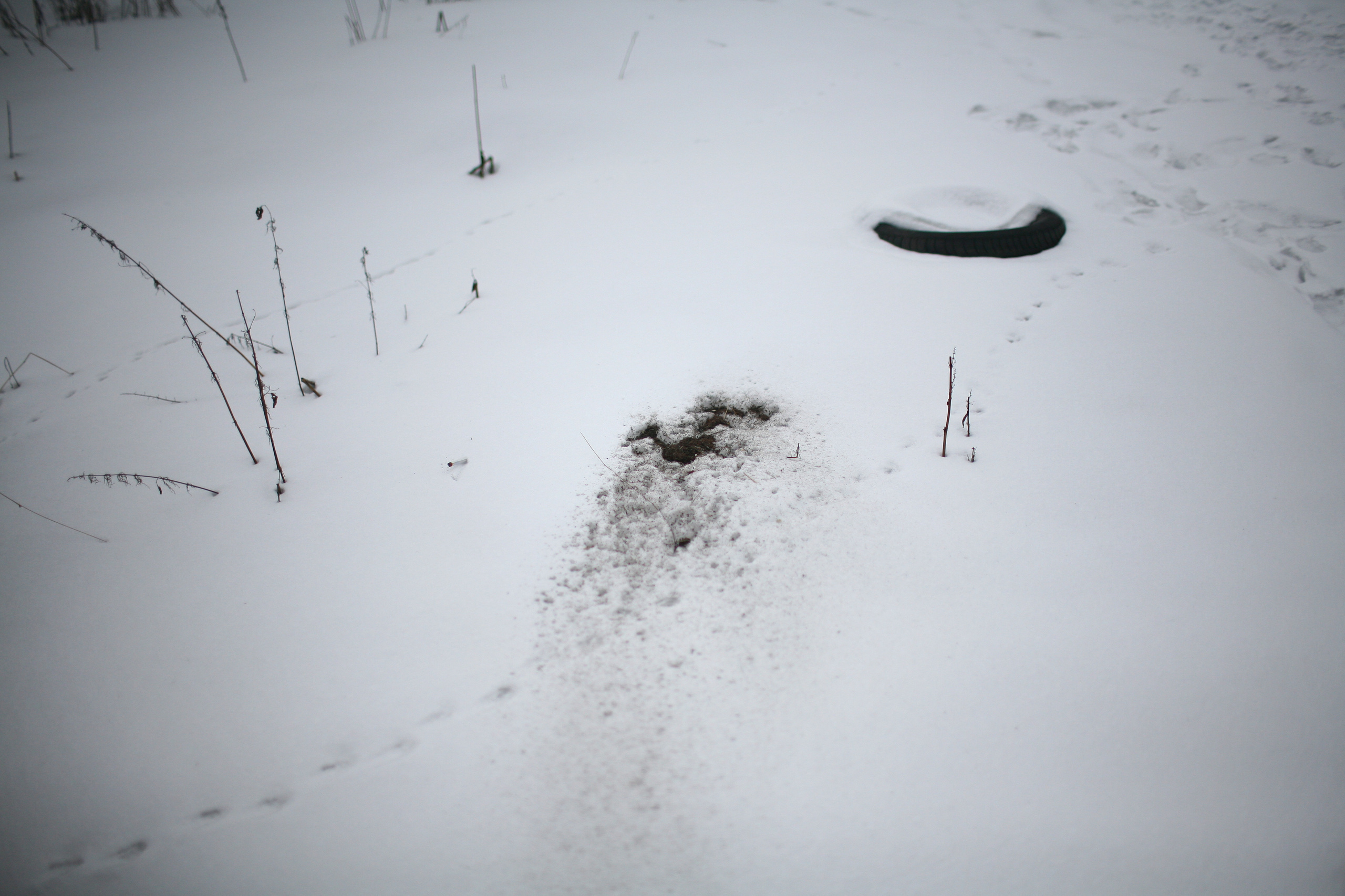 Five letters from Murmansk. Victoria Dini. Art photography in London / Folkestone, UK