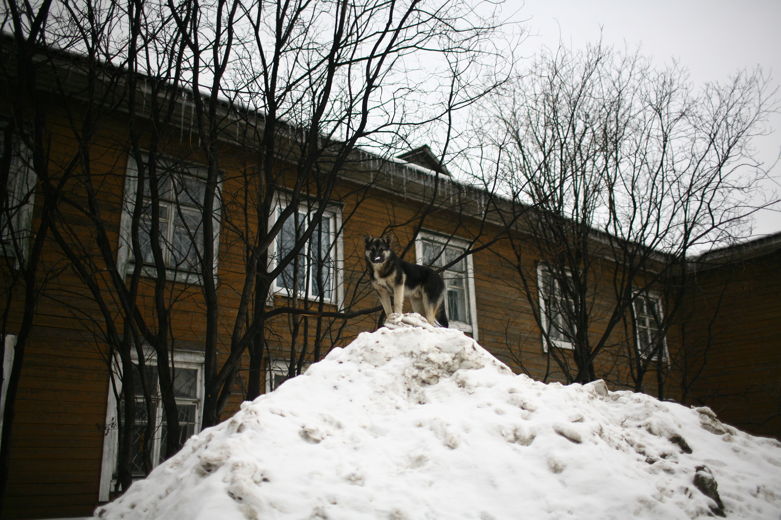 Five letters from Murmansk. Victoria Dini. Art photography in London / Folkestone, UK