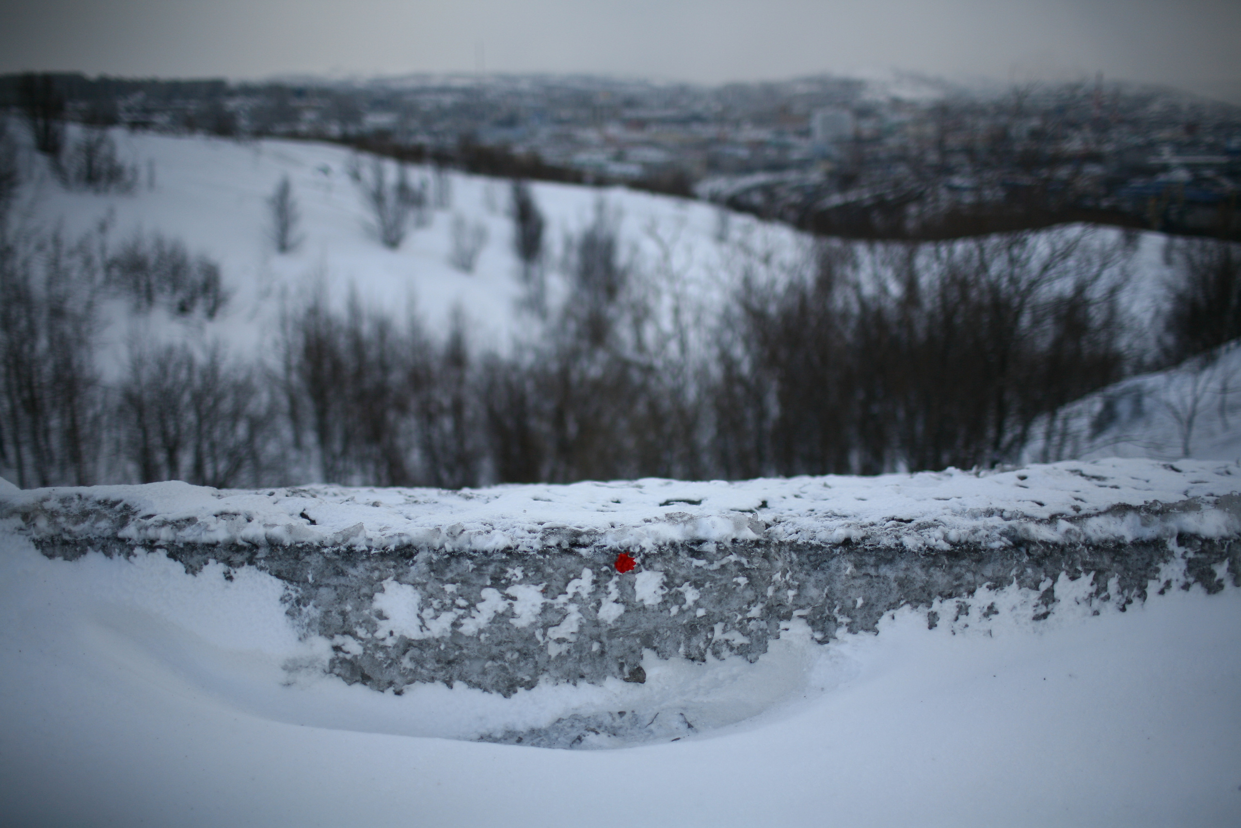 Five letters from Murmansk. Victoria Dini. Art photography in London / Folkestone, UK