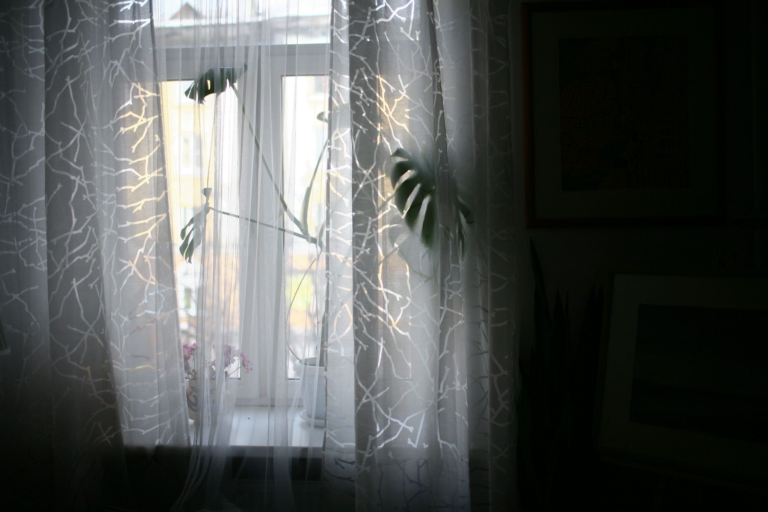 Five letters from Murmansk. Victoria Dini. Art photography in London / Folkestone, UK