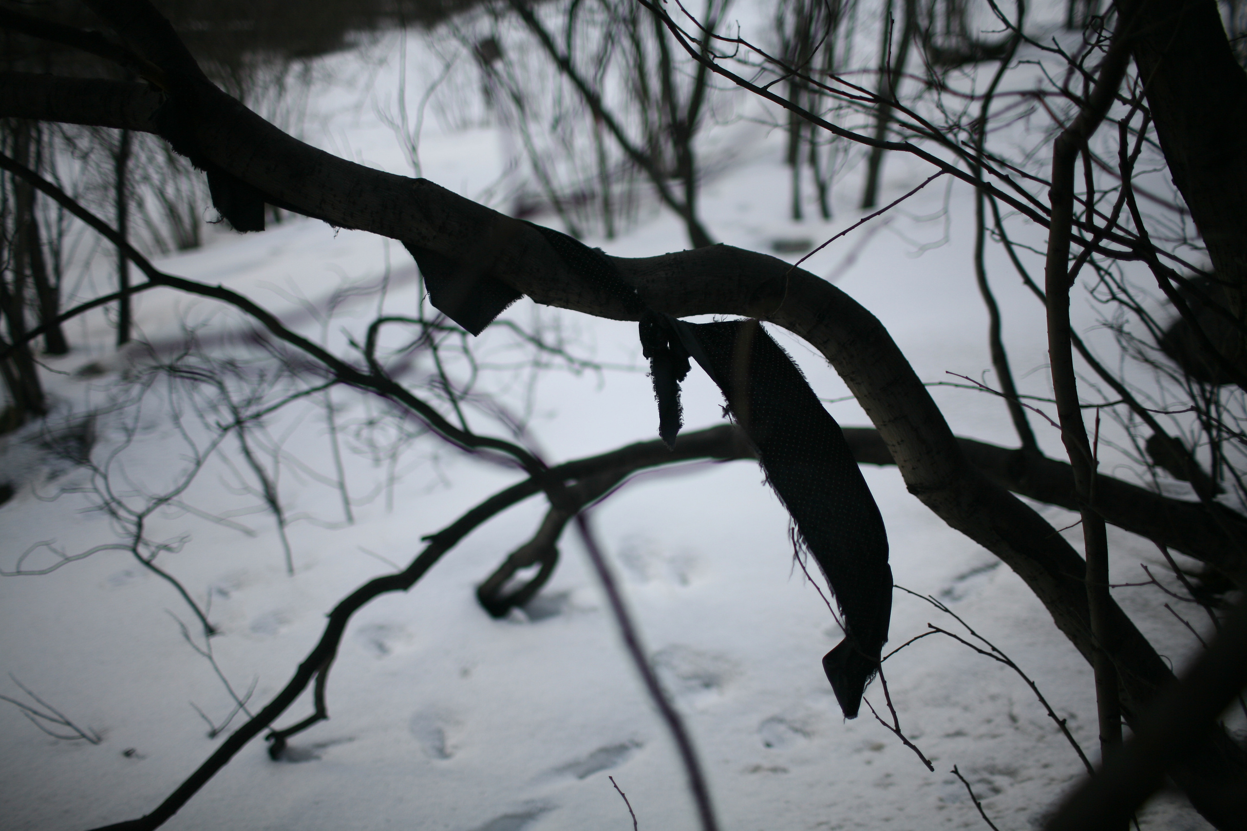 Five letters from Murmansk. Victoria Dini. Art photography in London / Folkestone, UK