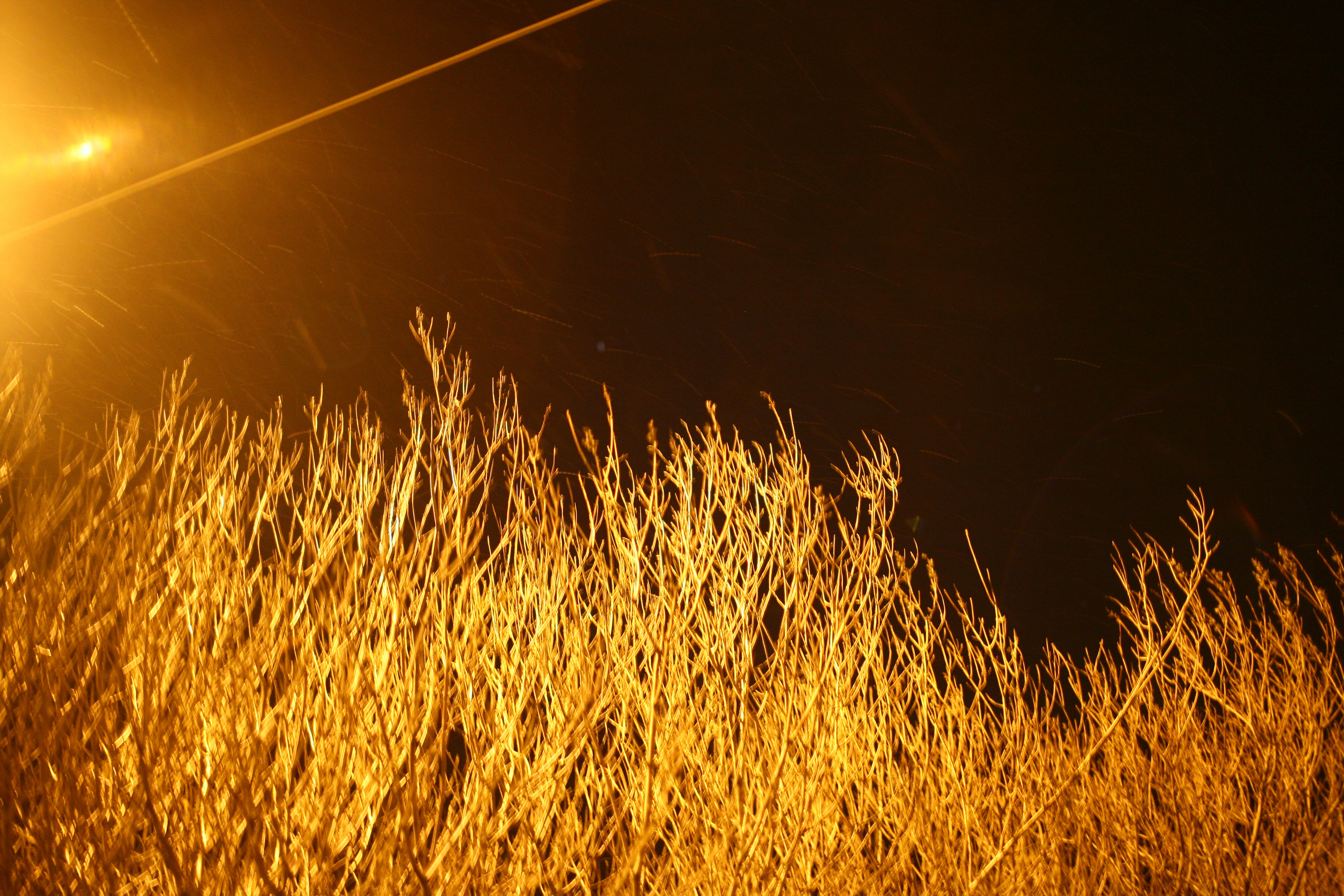 Five letters from Murmansk. Victoria Dini. Art photography in London / Folkestone, UK