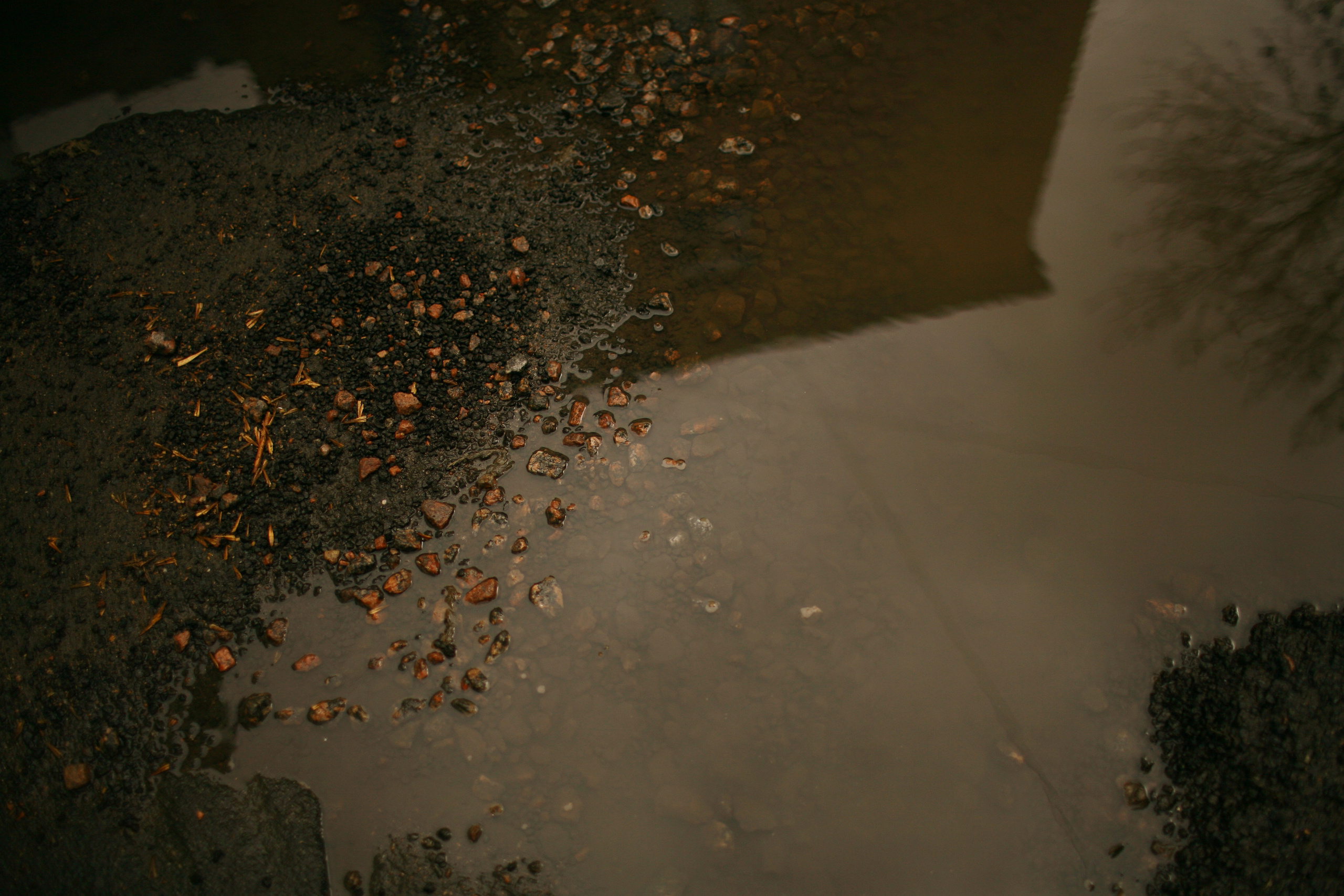 Anna and her Piterdays. Виктория Дини. Арт-фотография