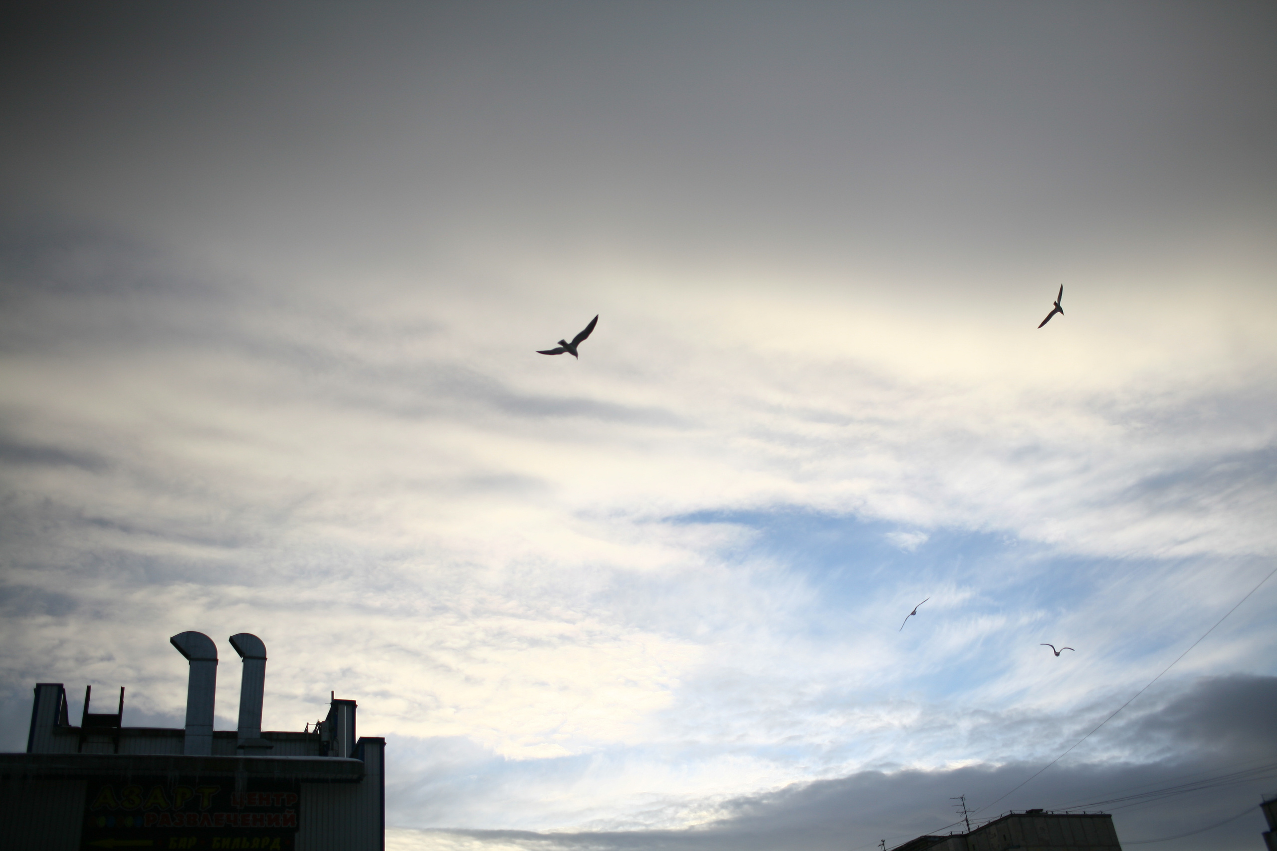Five letters from Murmansk. Victoria Dini. Art photography in London / Folkestone, UK