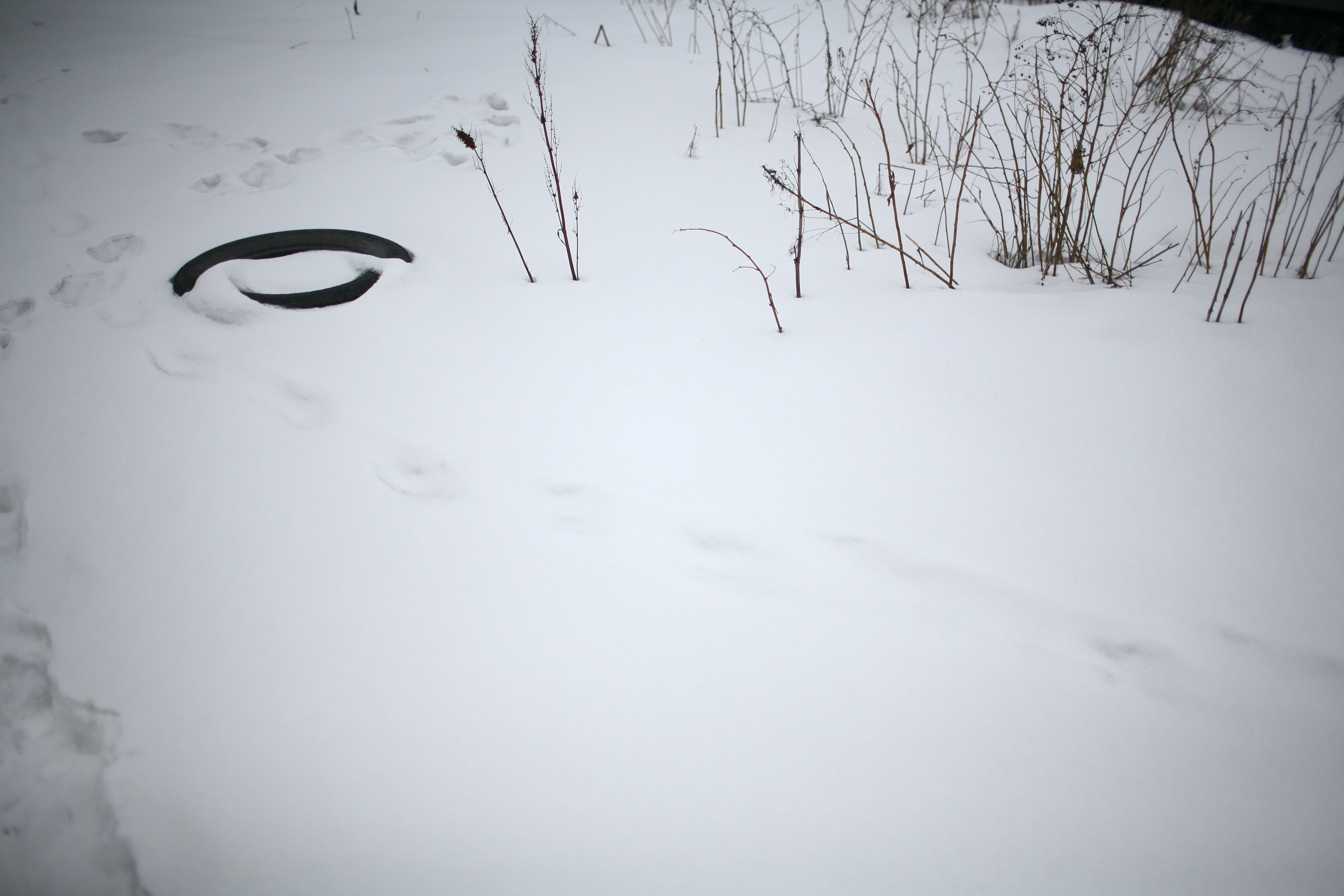 Five letters from Murmansk. Victoria Dini. Art photography in London / Folkestone, UK