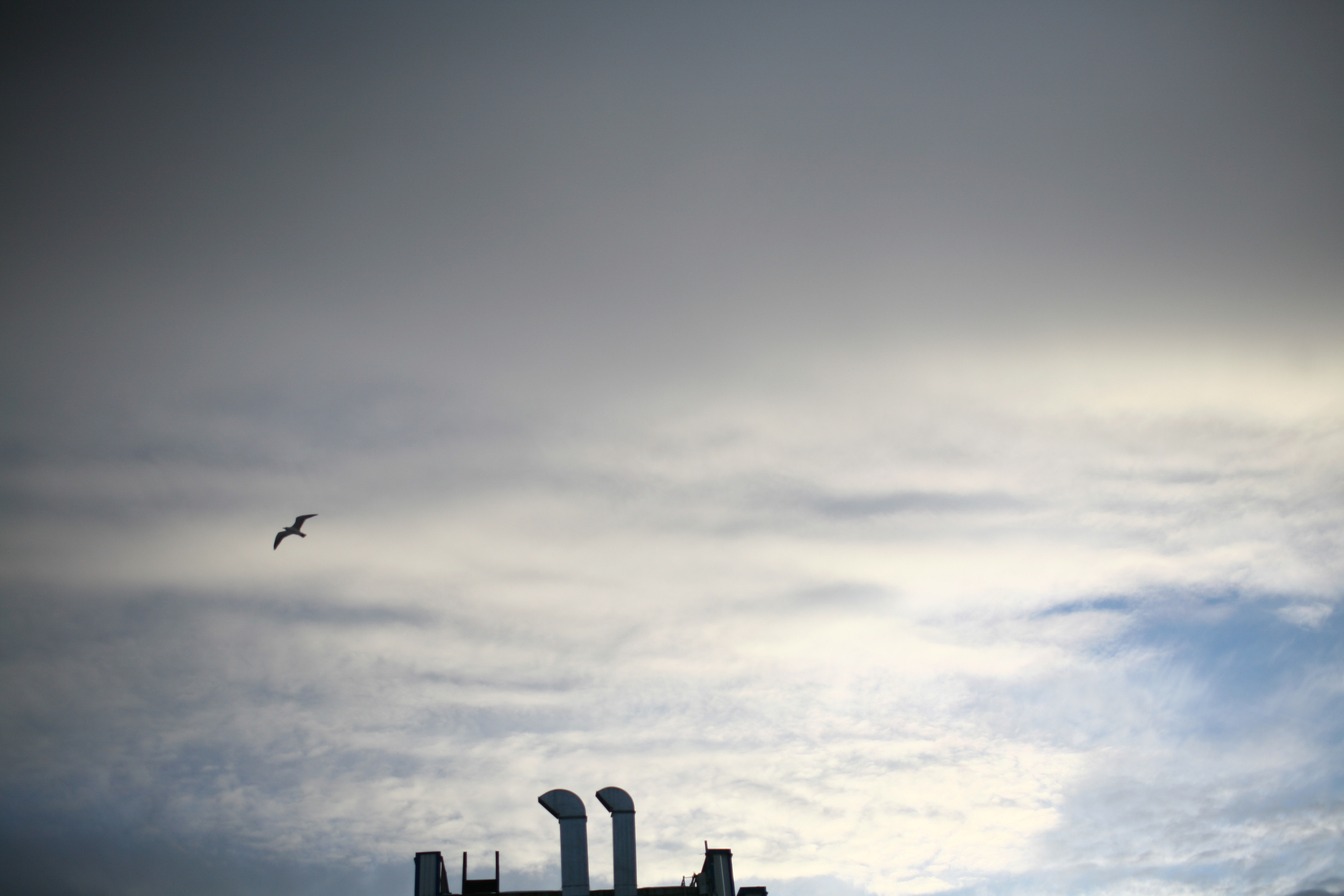 Five letters from Murmansk. Victoria Dini. Art photography in London / Folkestone, UK