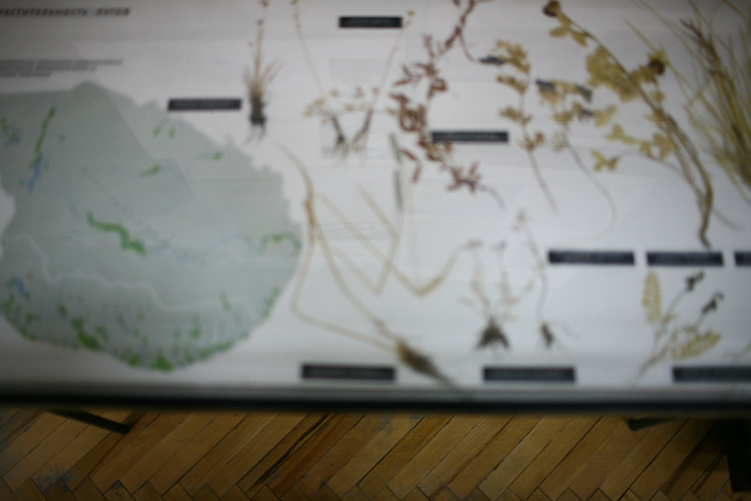 Five letters from Murmansk. Victoria Dini. Art photography in London / Folkestone, UK