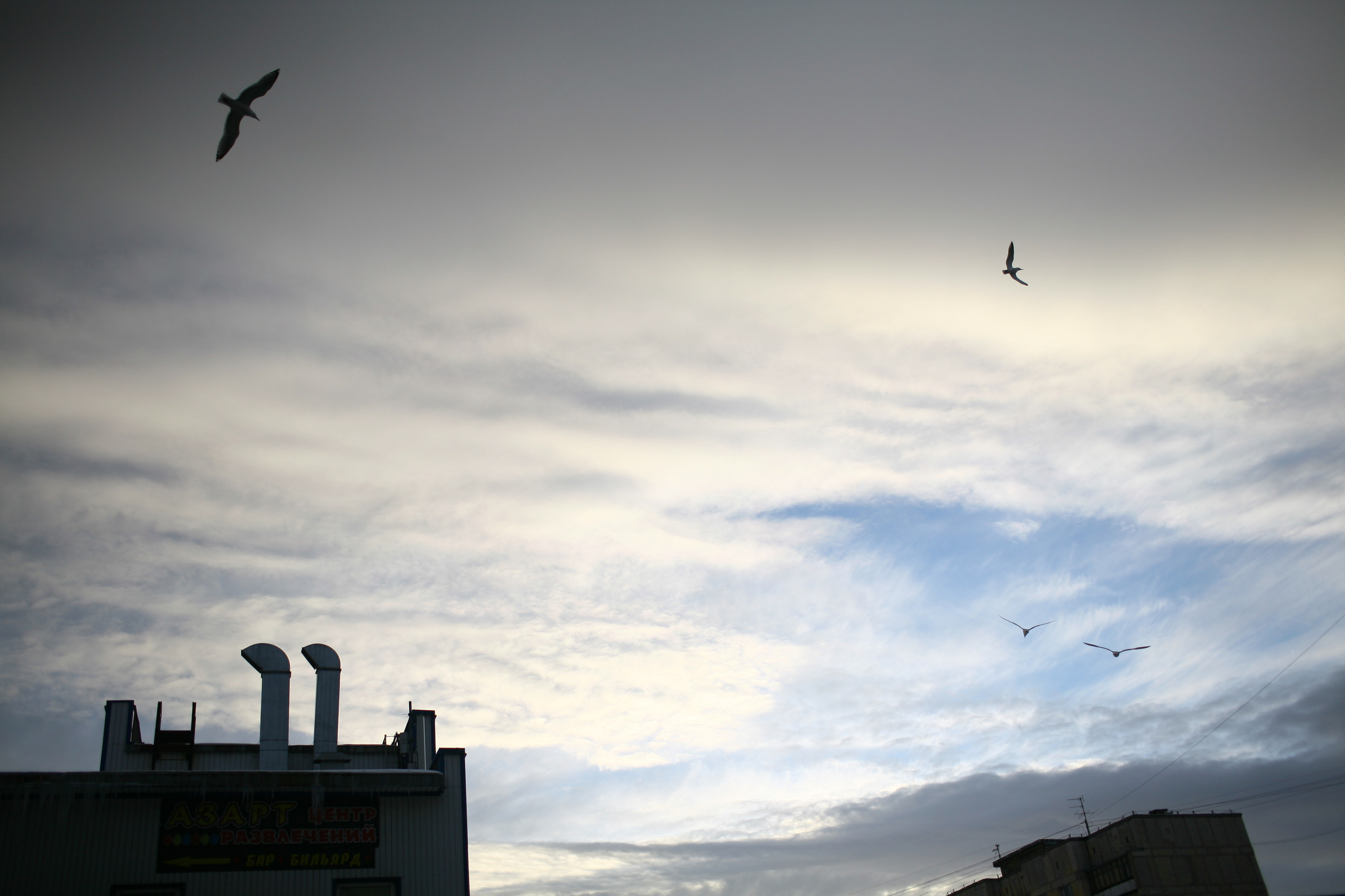 Five letters from Murmansk. Victoria Dini. Art photography in London / Folkestone, UK