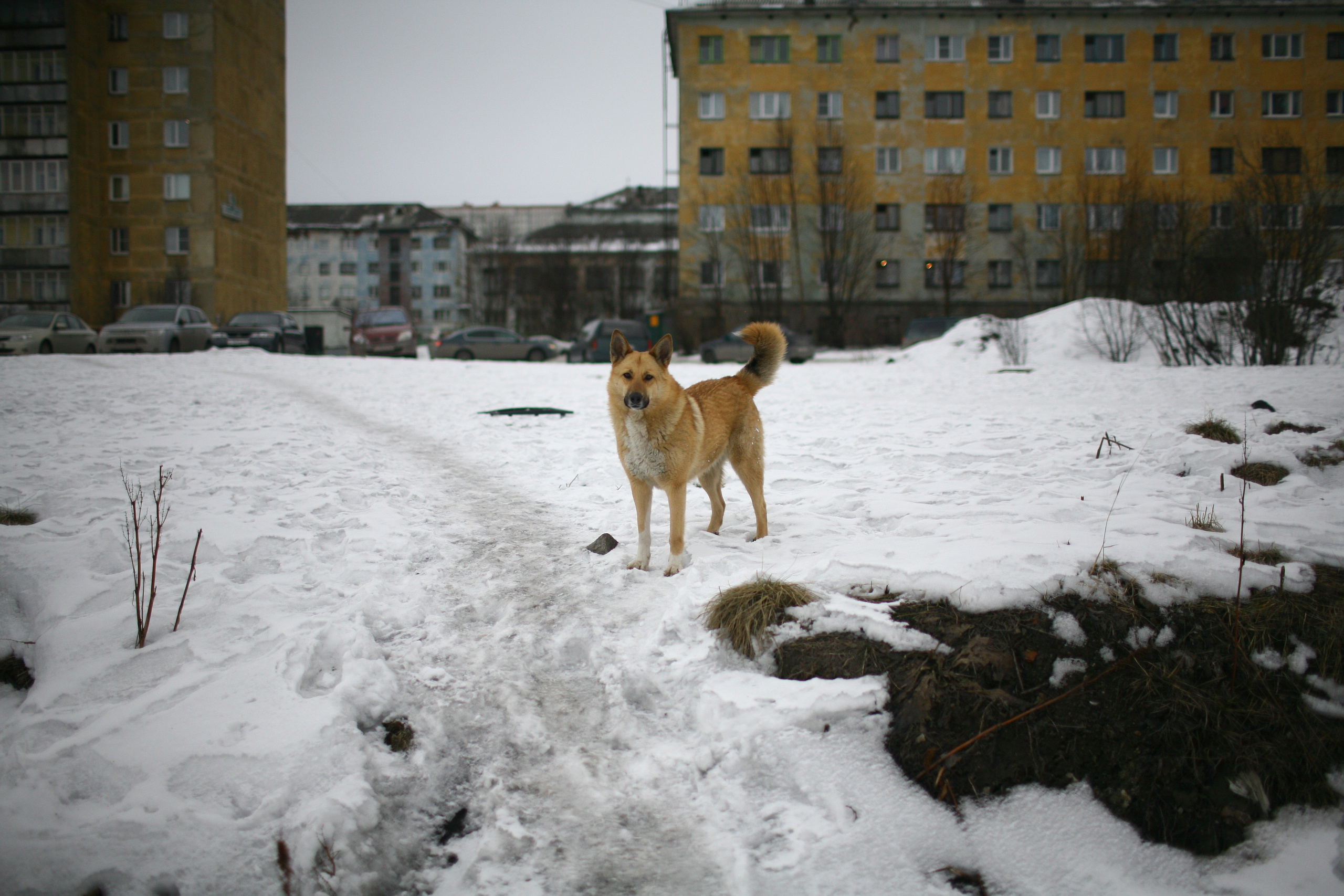 Five letters from Murmansk. Victoria Dini. Art photography in London / Folkestone, UK