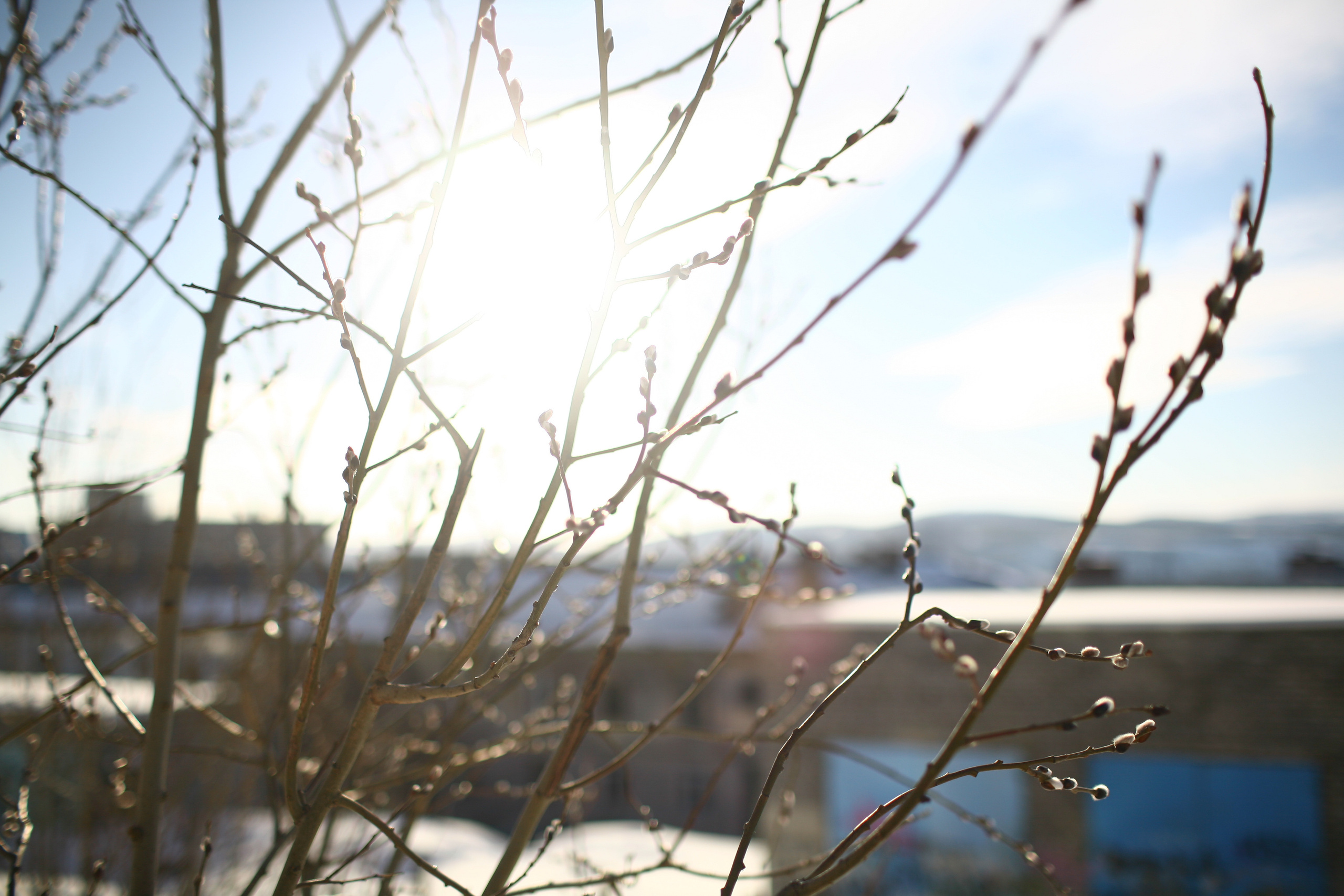 Five letters from Murmansk. Victoria Dini. Art photography in London / Folkestone, UK