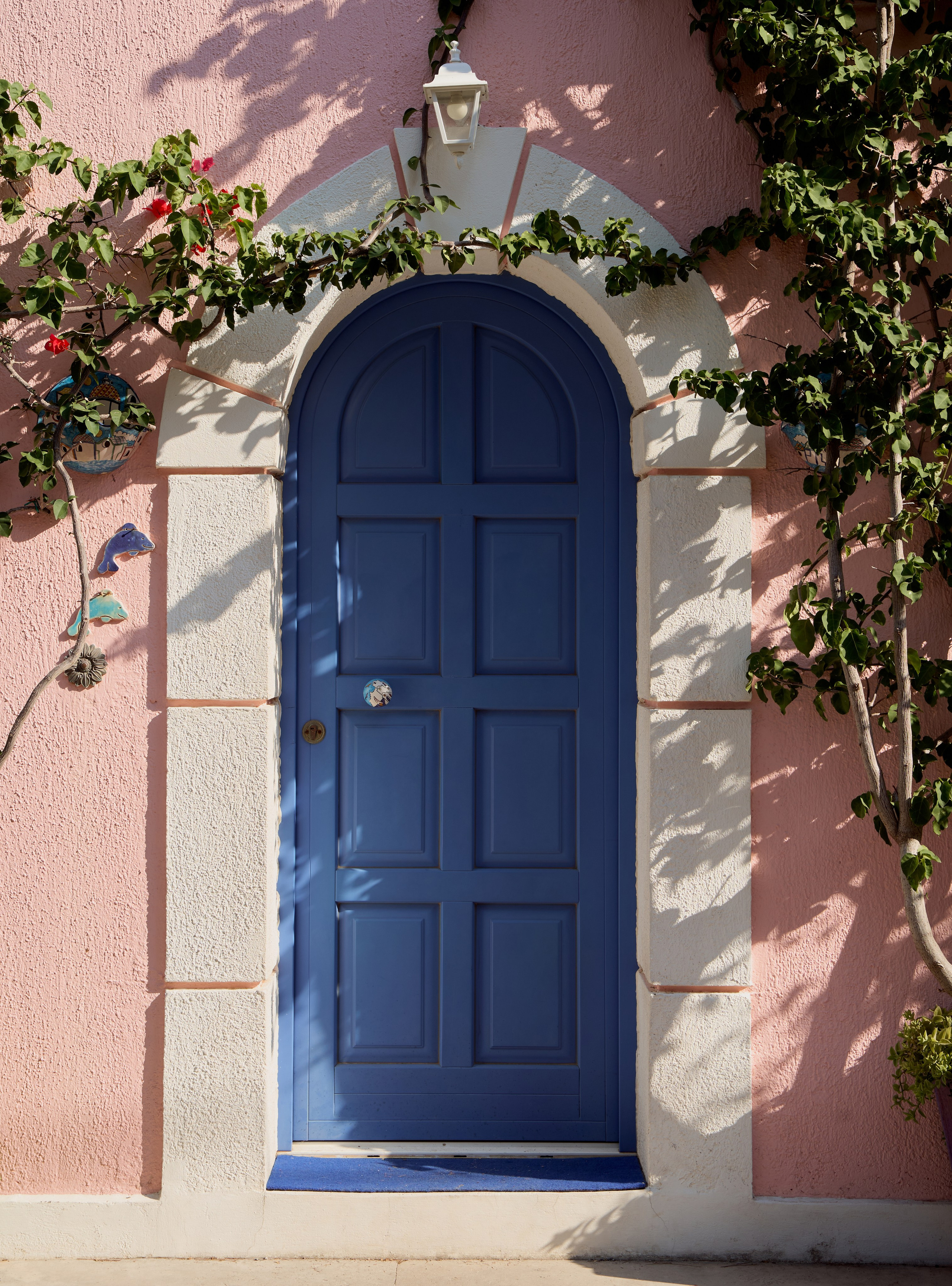 Моими глазами. Привет, давай знакомиться