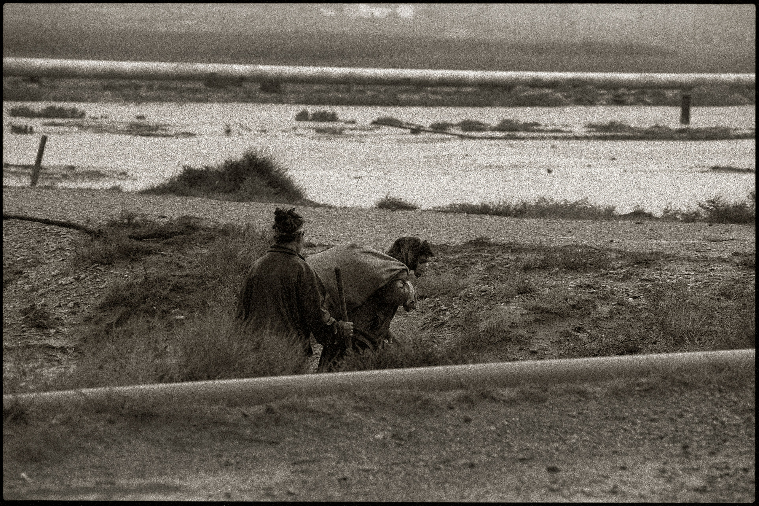 FIELD OF THE MASTER. Www.sananaleskerov.com