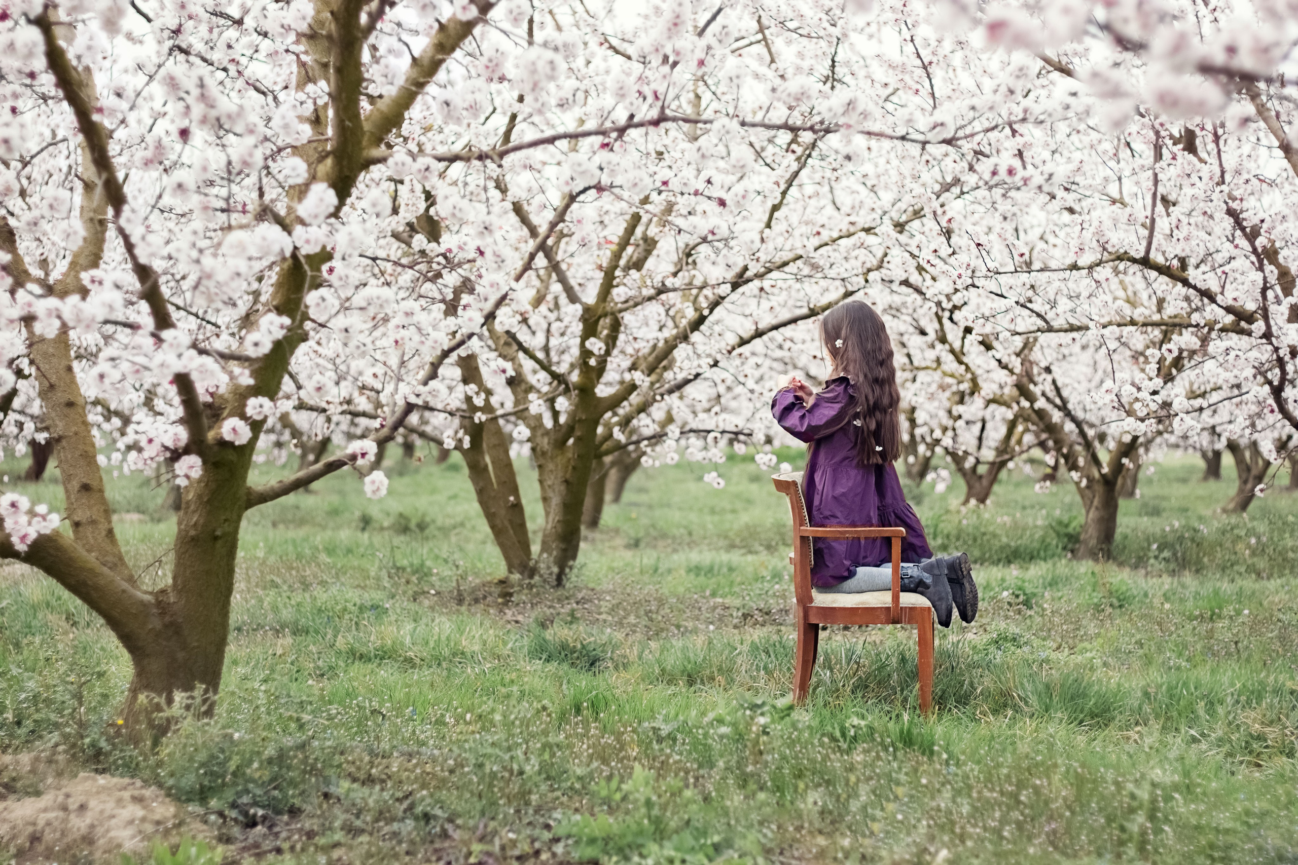 Shooting photo dans les cerisiers fleuris. Photographe et retoucheuse des images des produits à Avignon en France