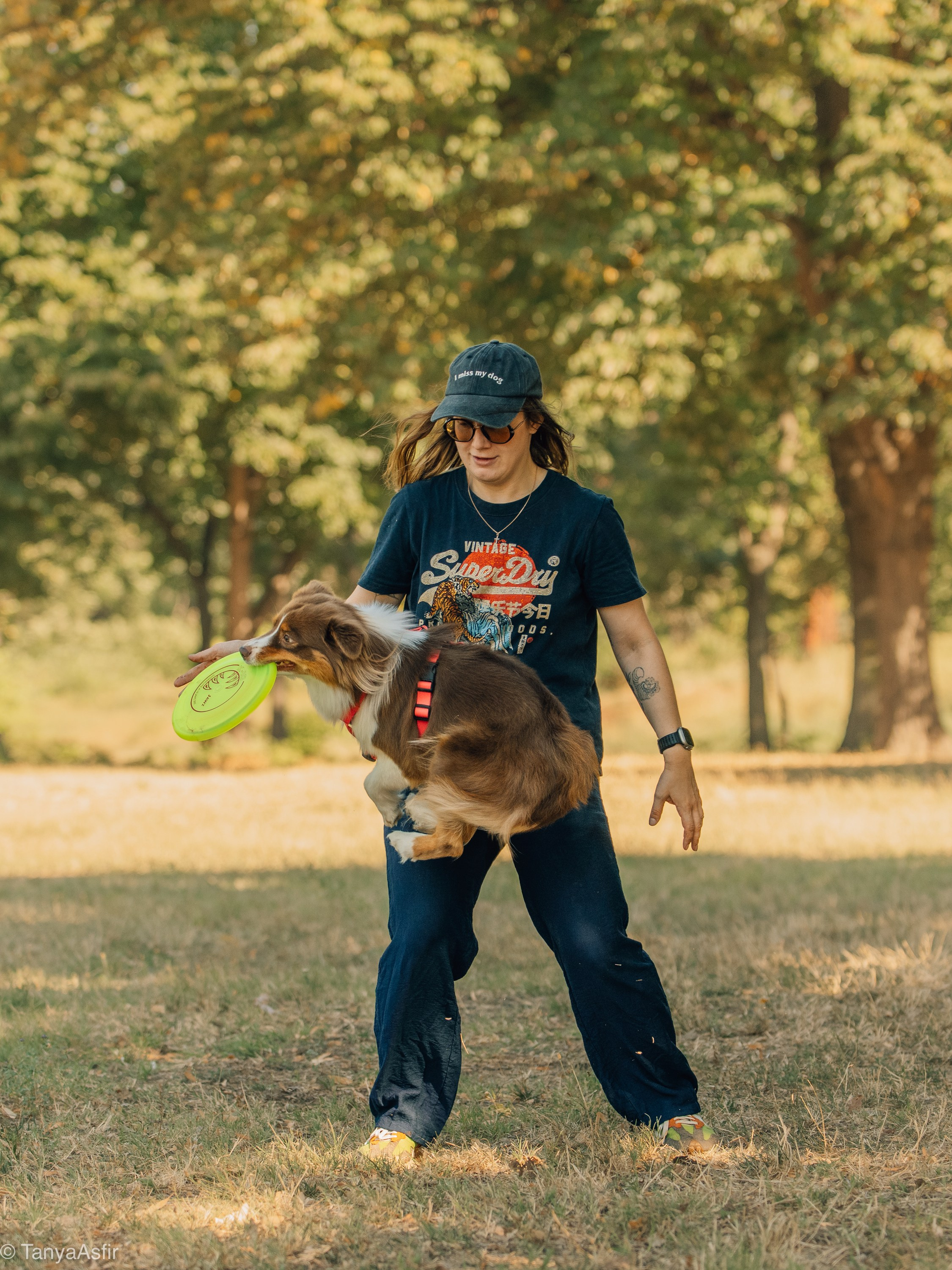 Professional dog photography: agility, frisbee, obedience, IGP. Tanya Asfir — Pet & Animal Photographer | Belgrade, Serbia